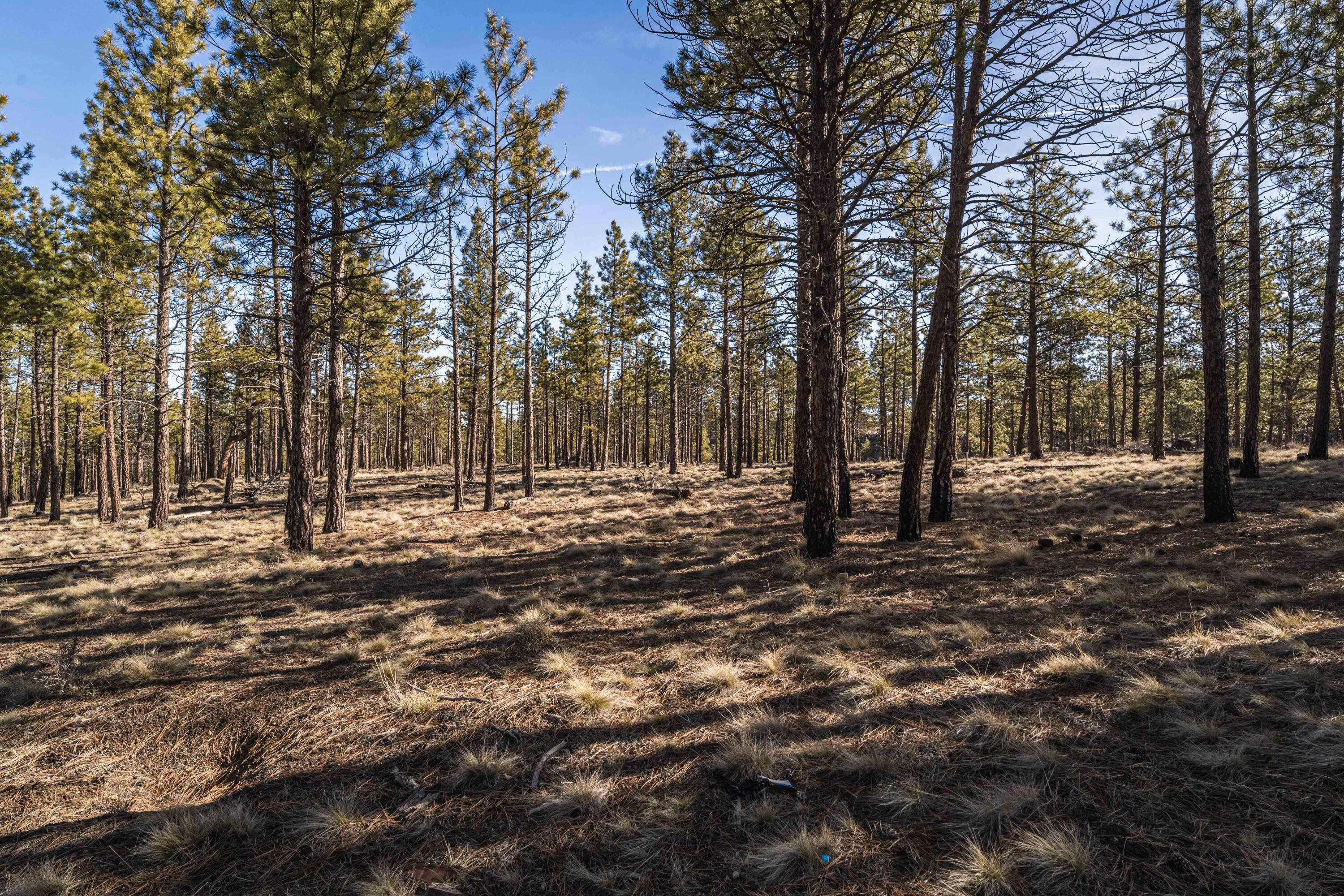 Ostrom Drive Unit: Lot 21