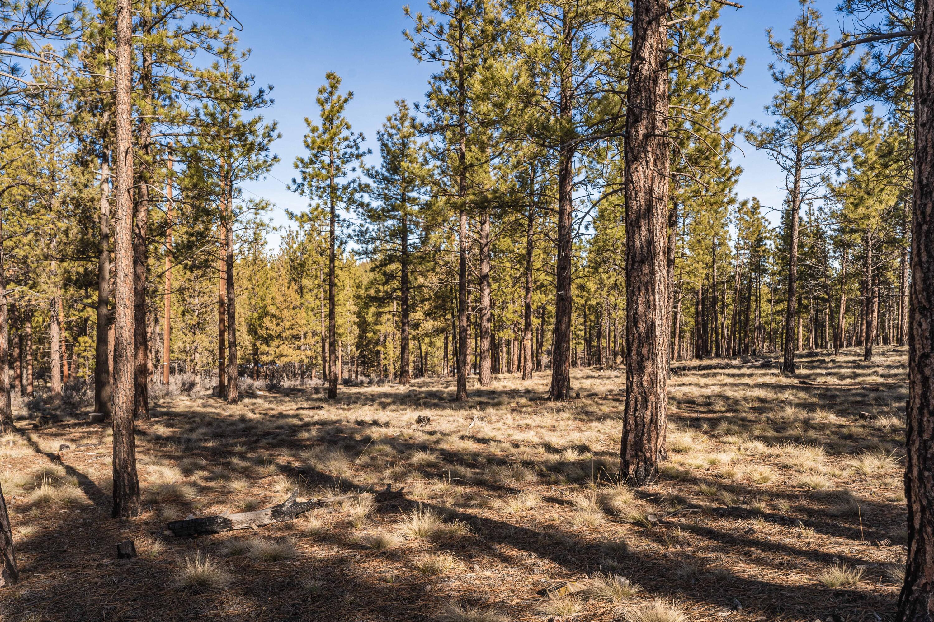 Ostrom Drive Unit: Lot 21