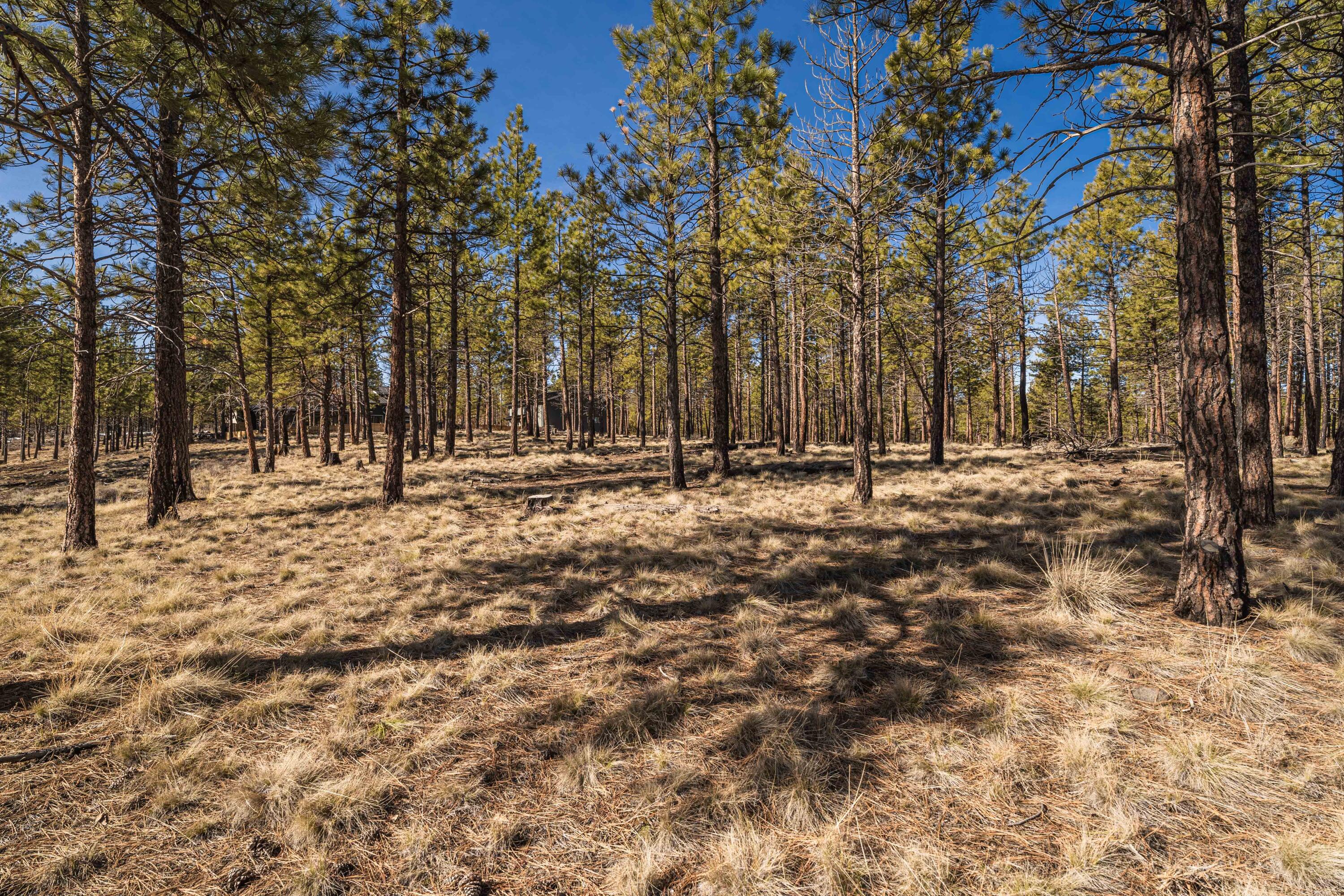 Ostrom Drive Unit: Lot 21
