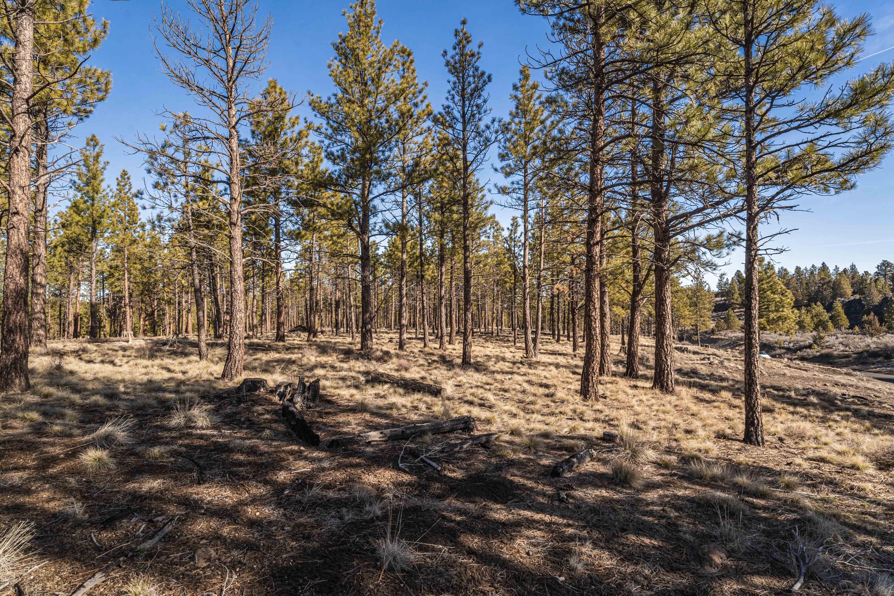 Ostrom Drive Unit: Lot 21