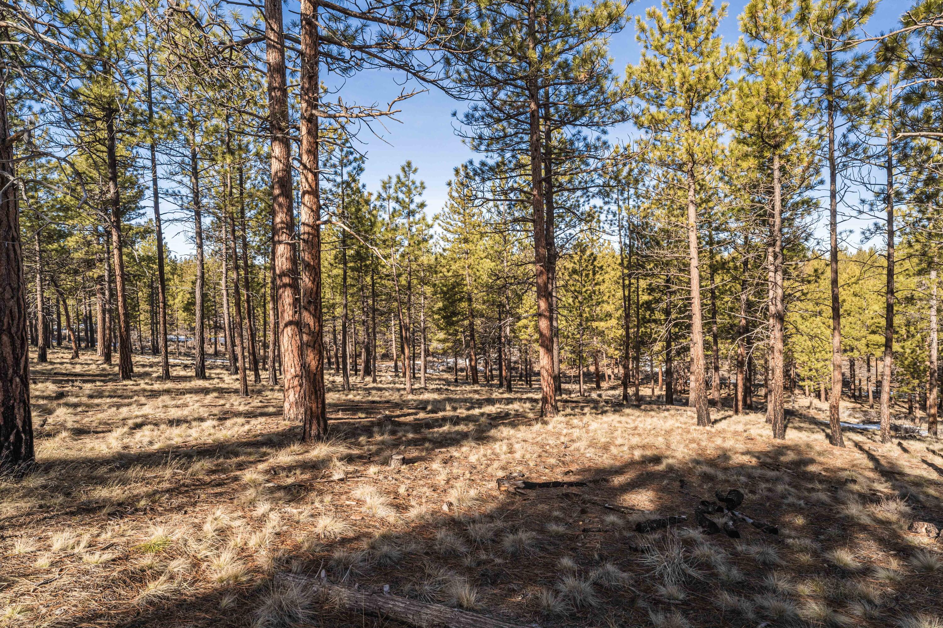 62939 Ostrom Drive Unit: Lot 22