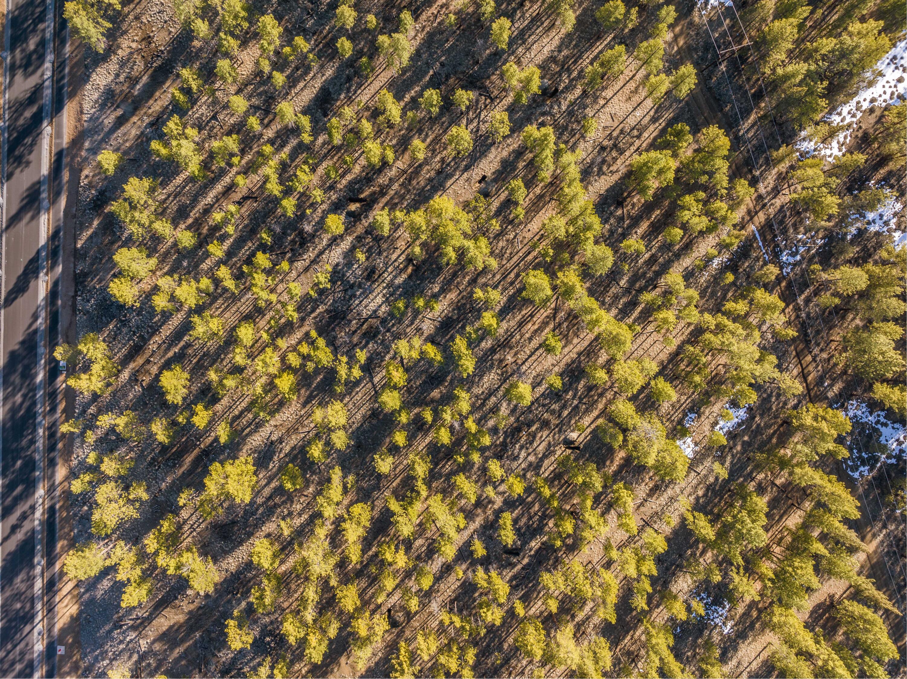 62939 Ostrom Drive Unit: Lot 22