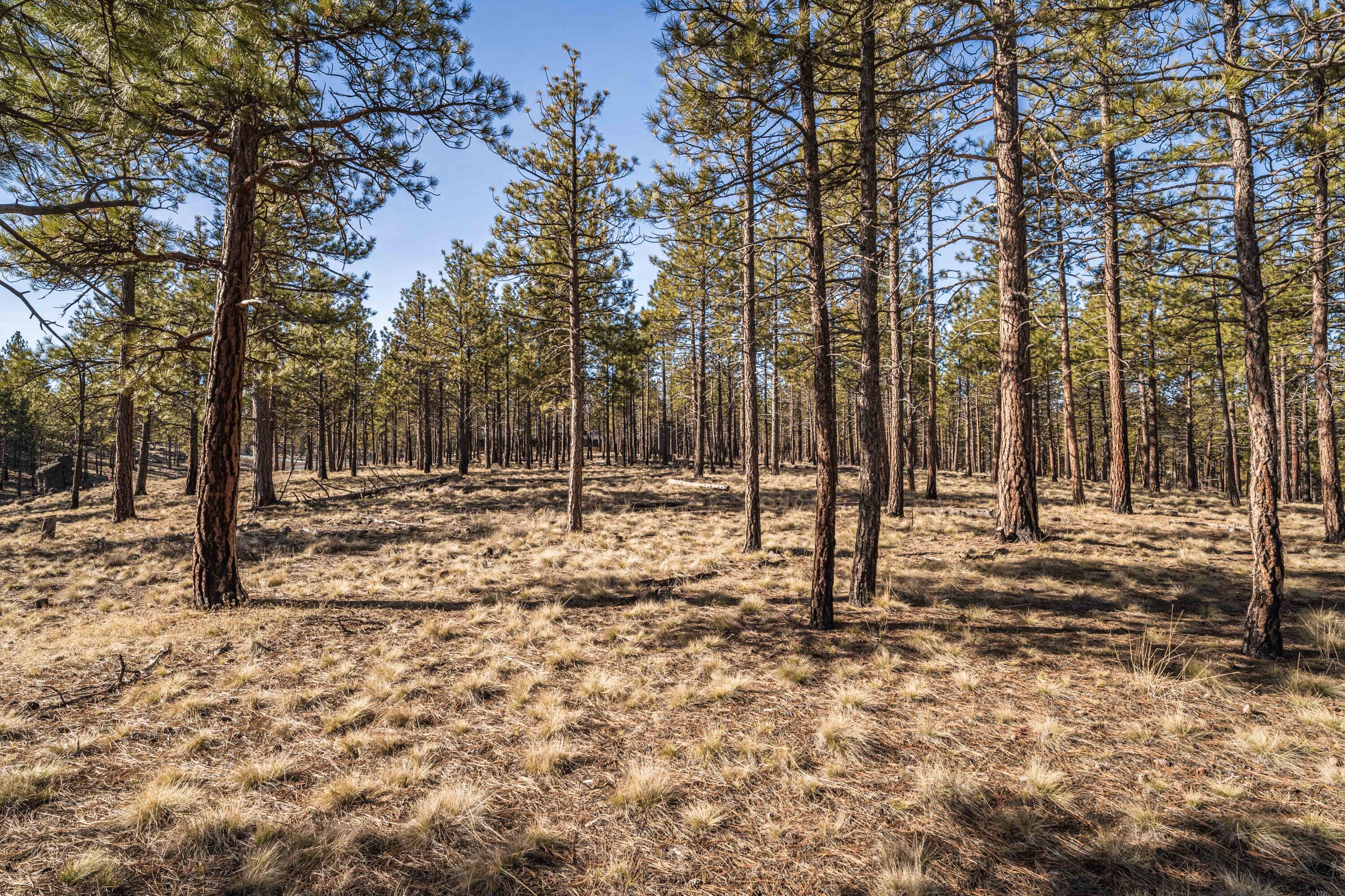 62939 Ostrom Drive Unit: Lot 22