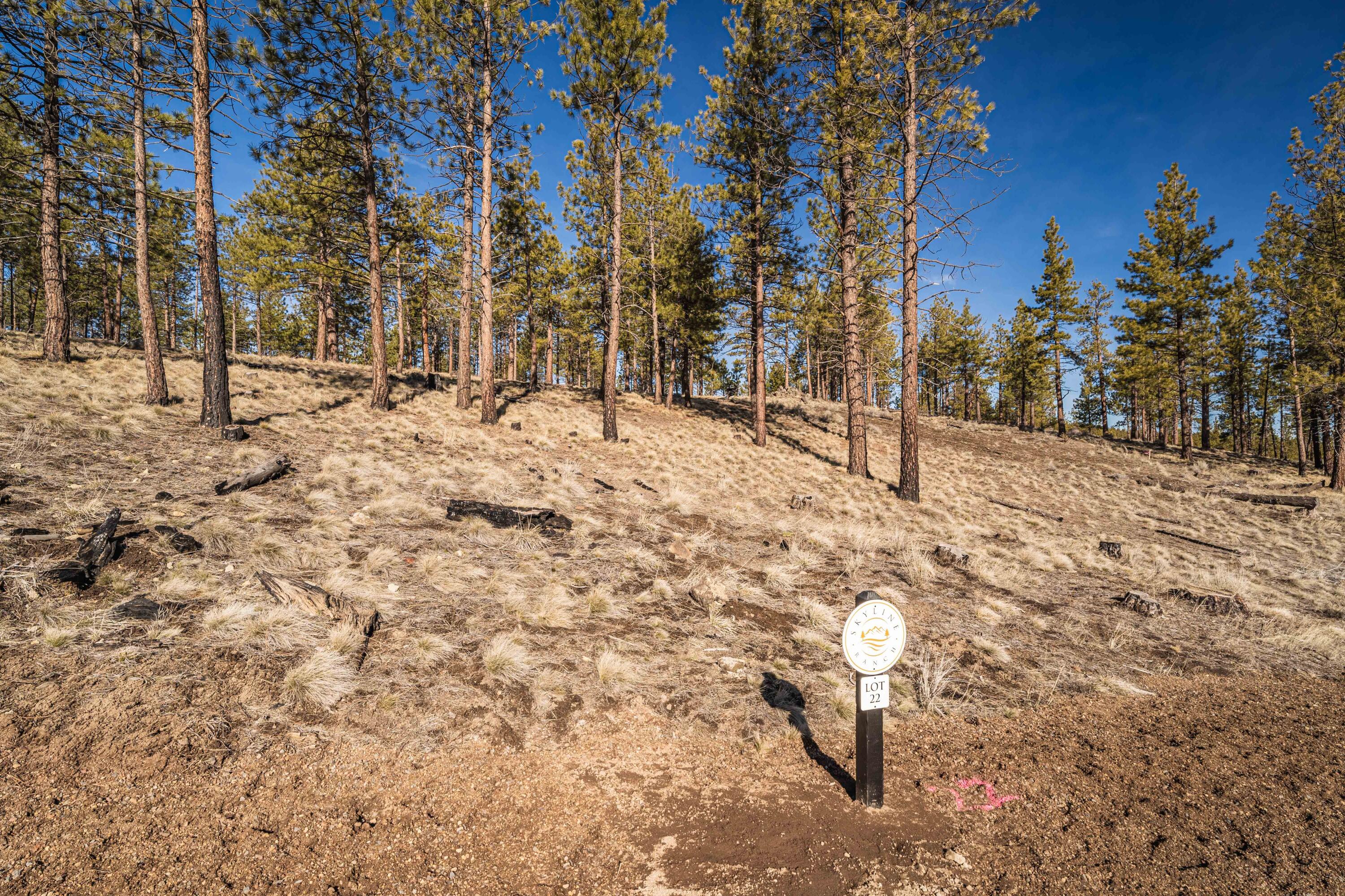 62939 Ostrom Drive Unit: Lot 22