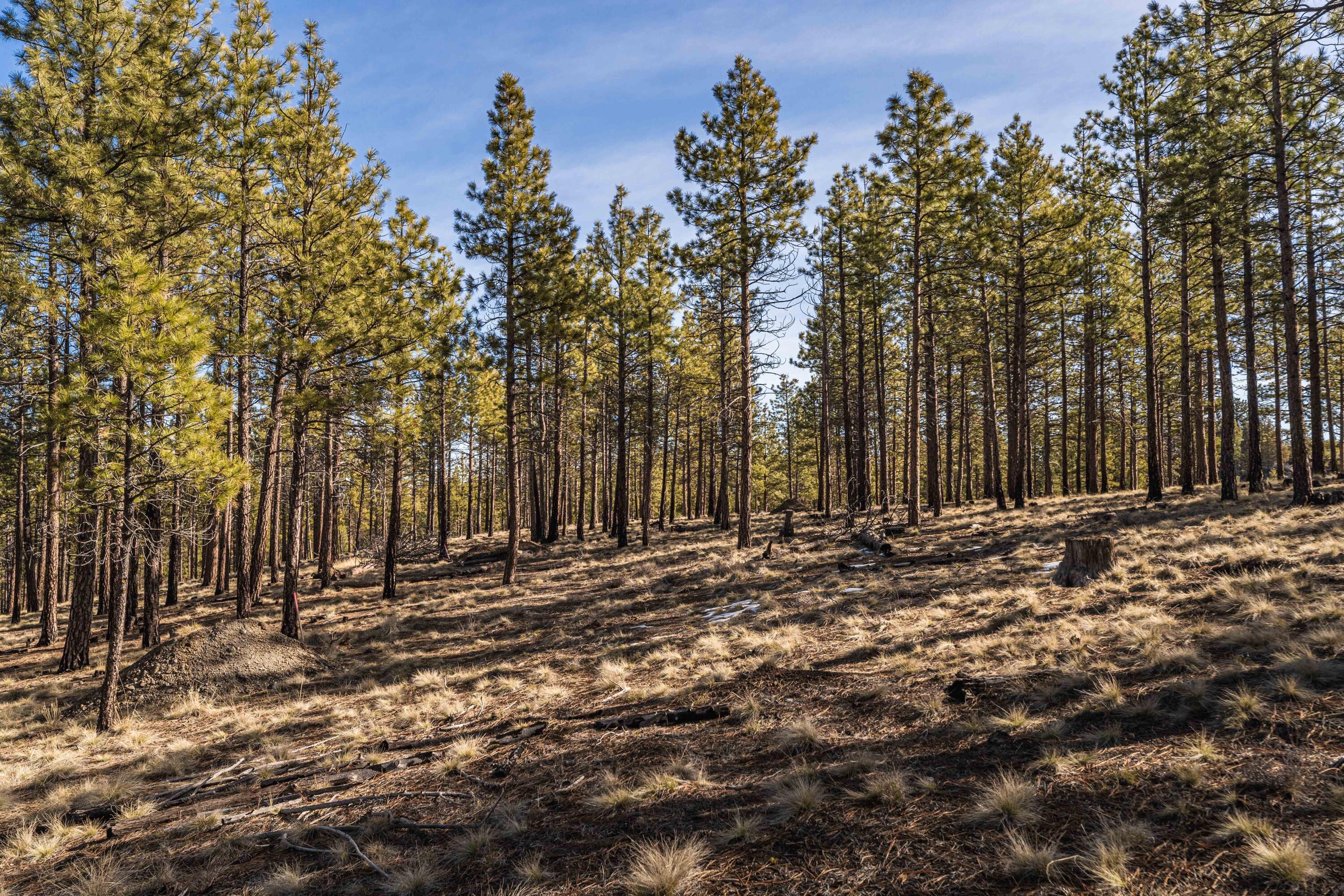 62939 Ostrom Drive Unit: Lot 22