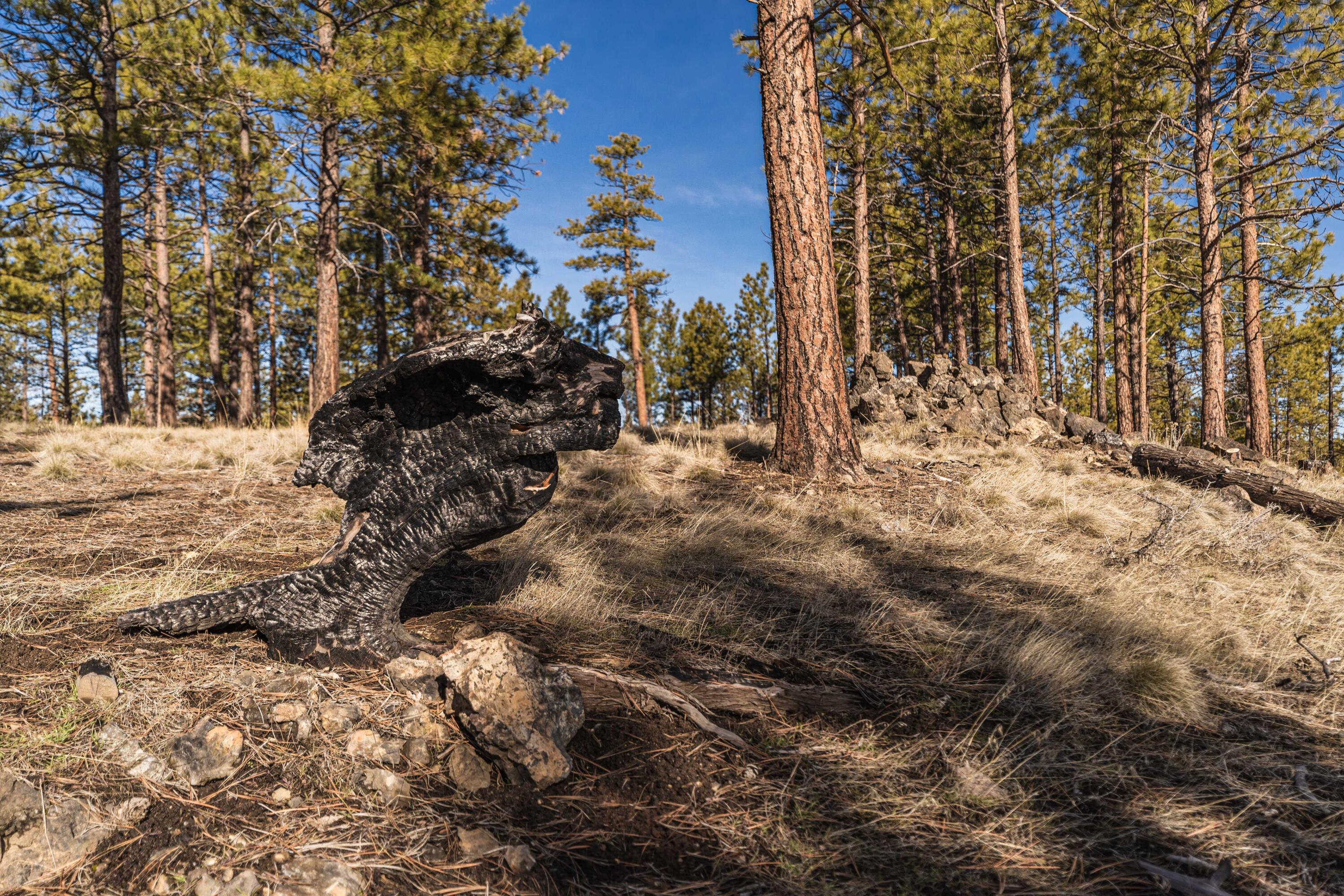 62939 Ostrom Drive Unit: Lot 22