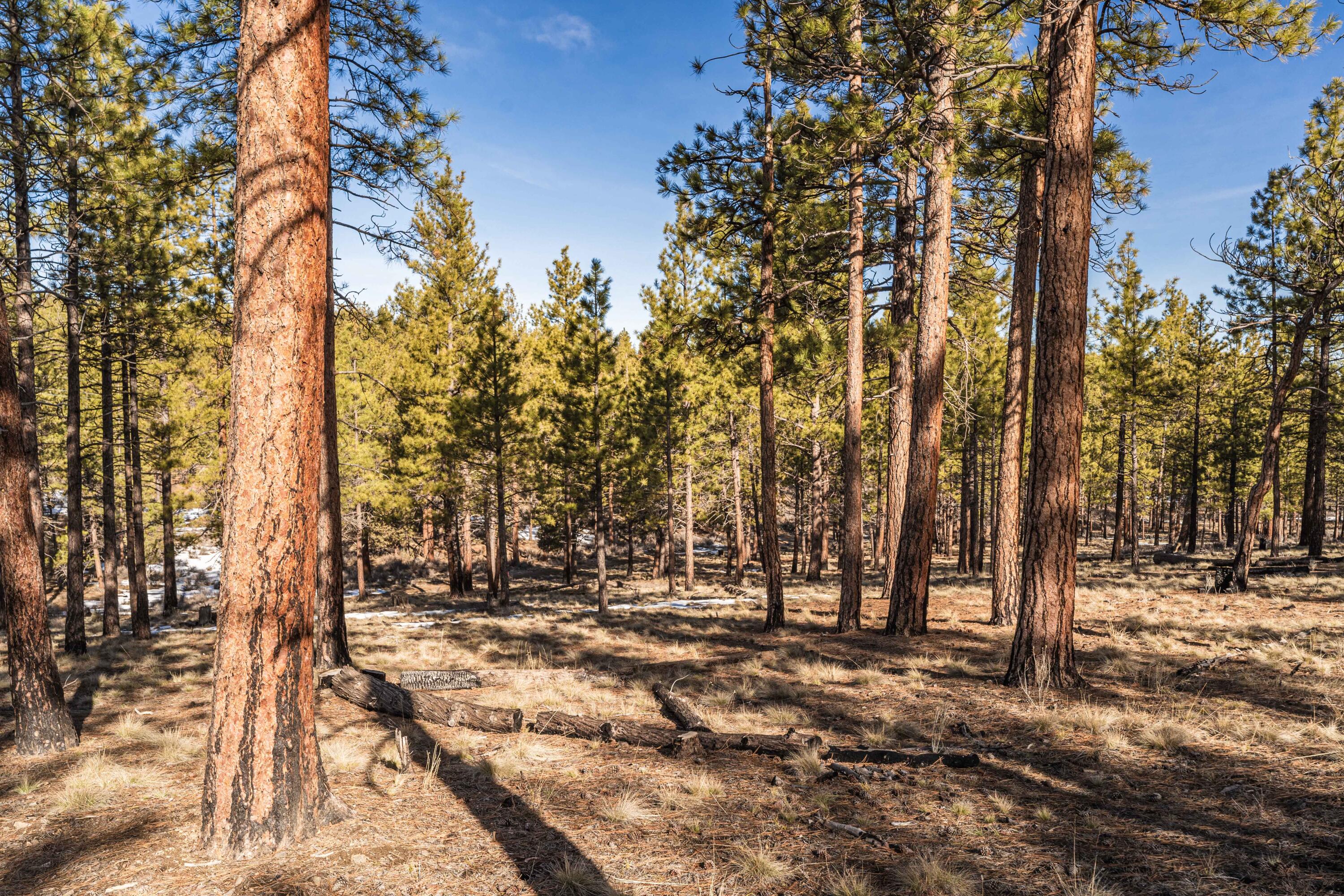 62939 Ostrom Drive Unit: Lot 22