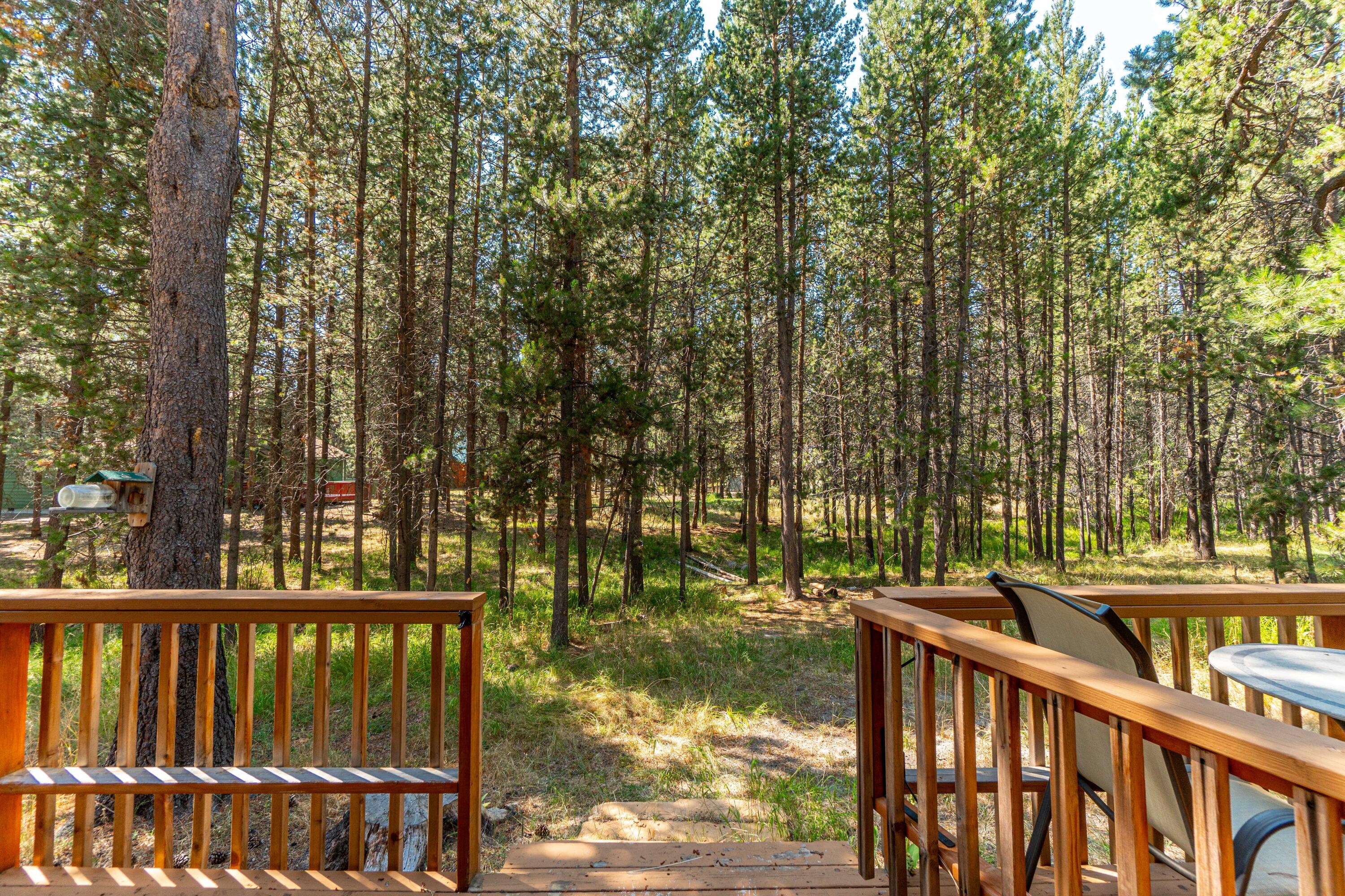 55630 Wagon Master Way