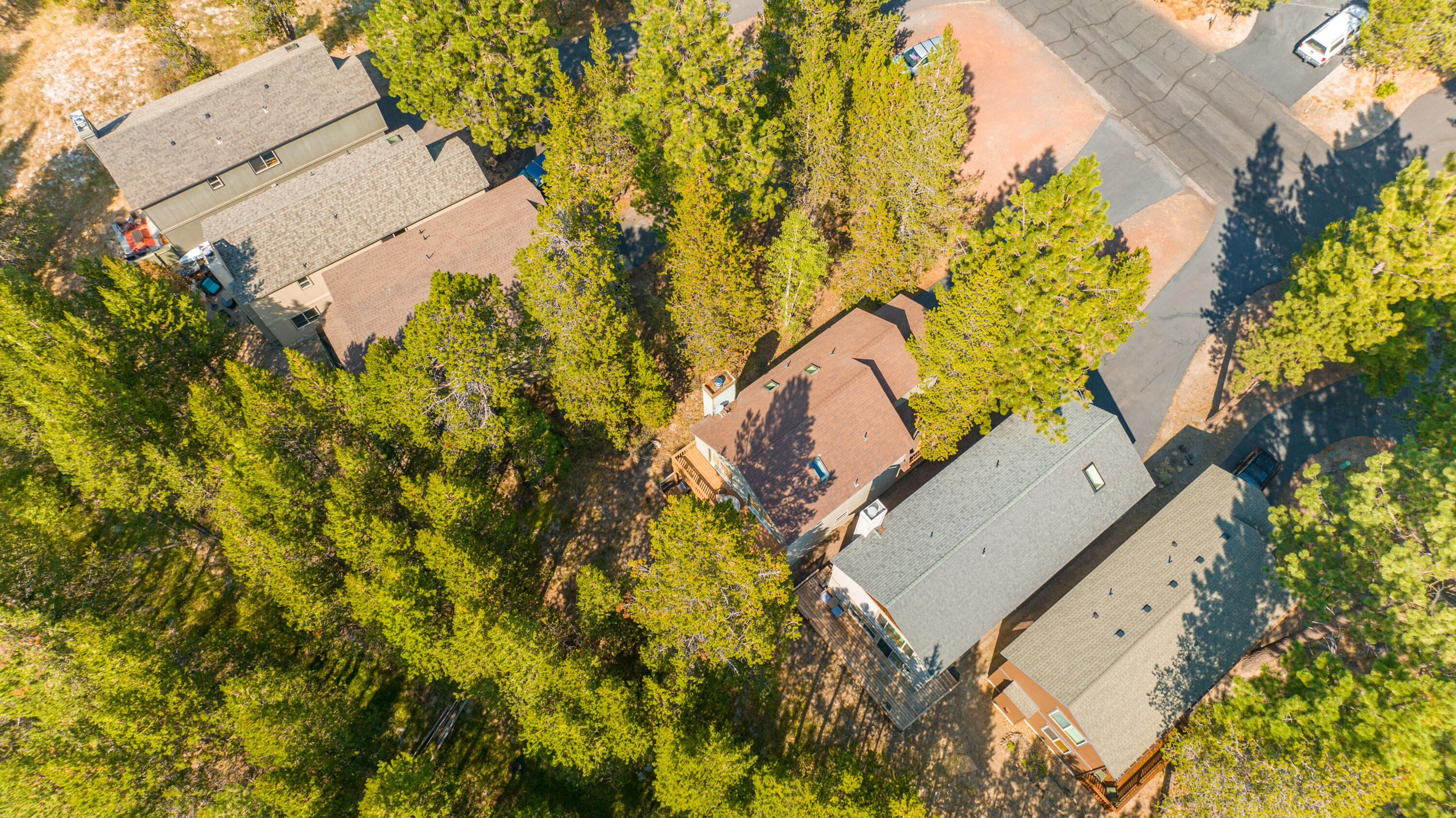 55630 Wagon Master Way