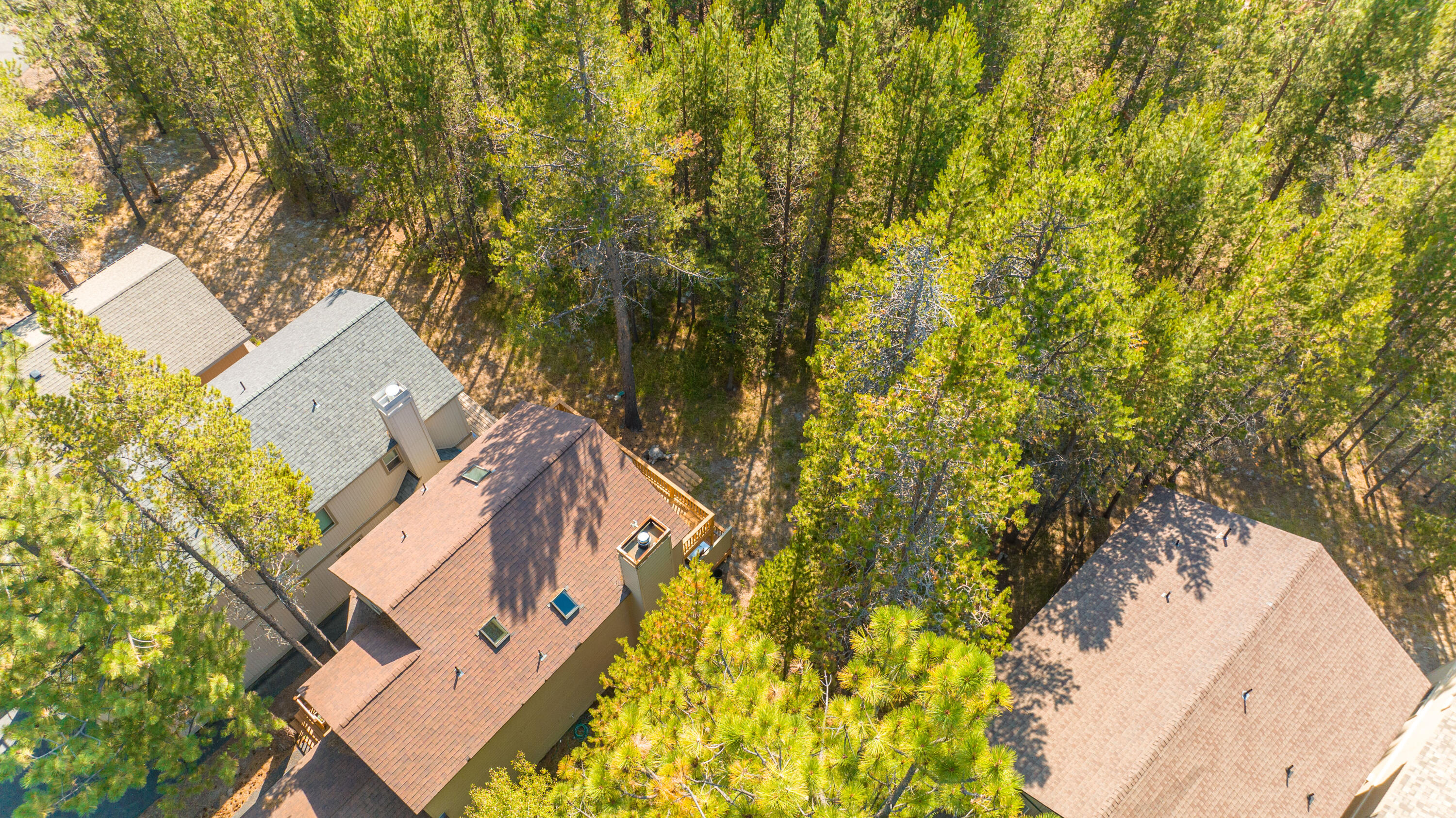 55630 Wagon Master Way