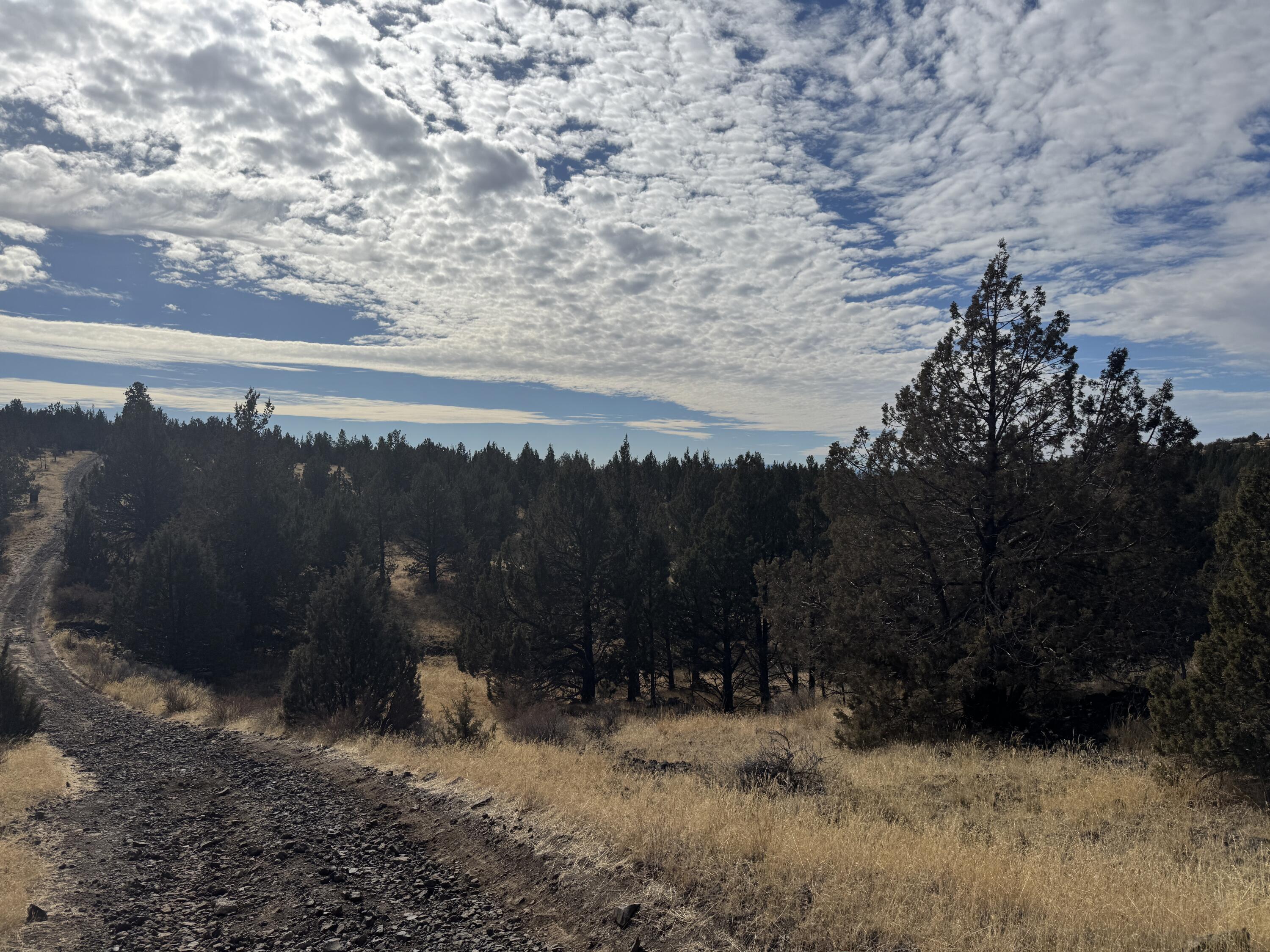 3000 Section 29 Ochoco Land & Livestock