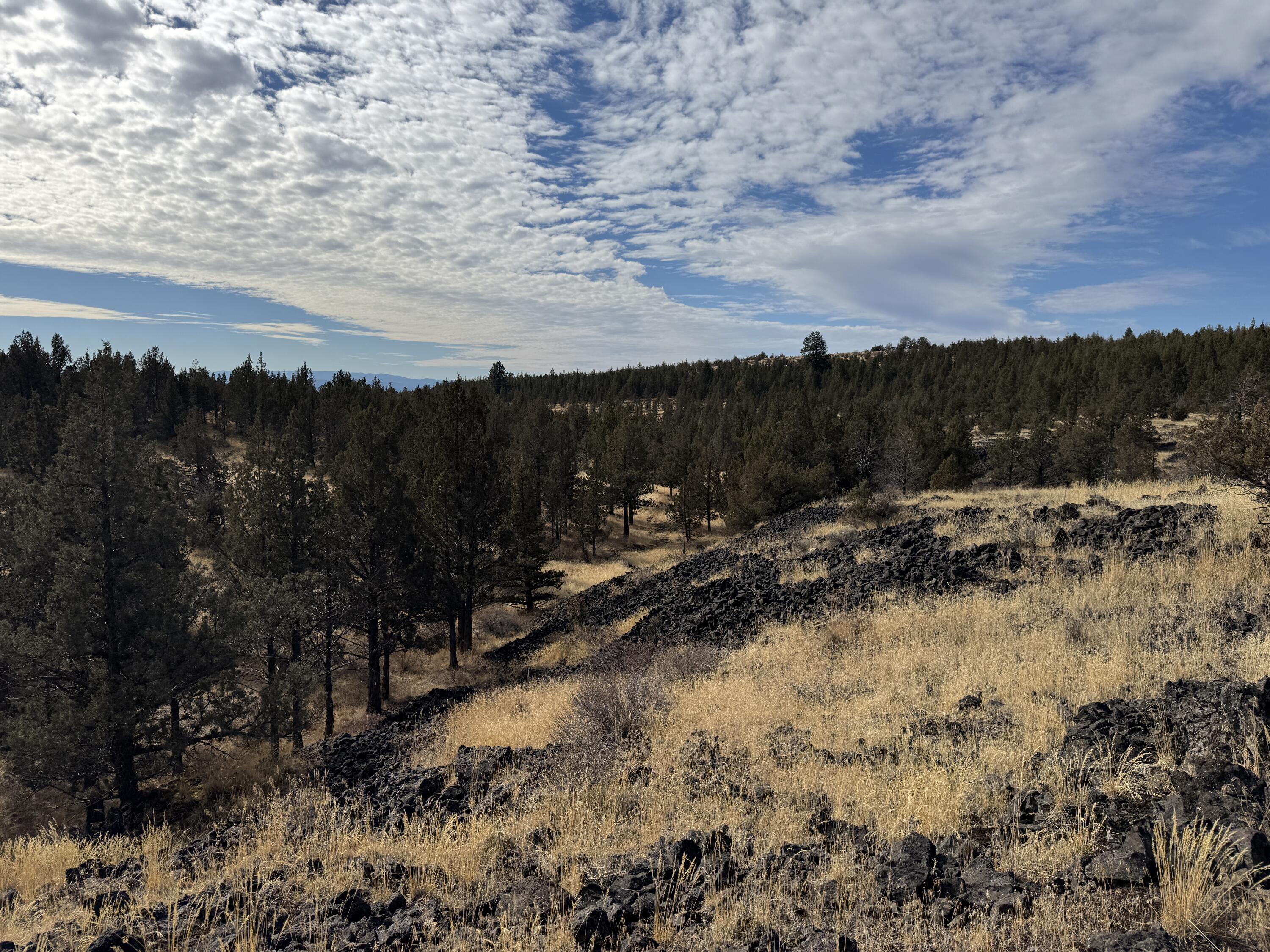 3000 Section 29 Ochoco Land & Livestock