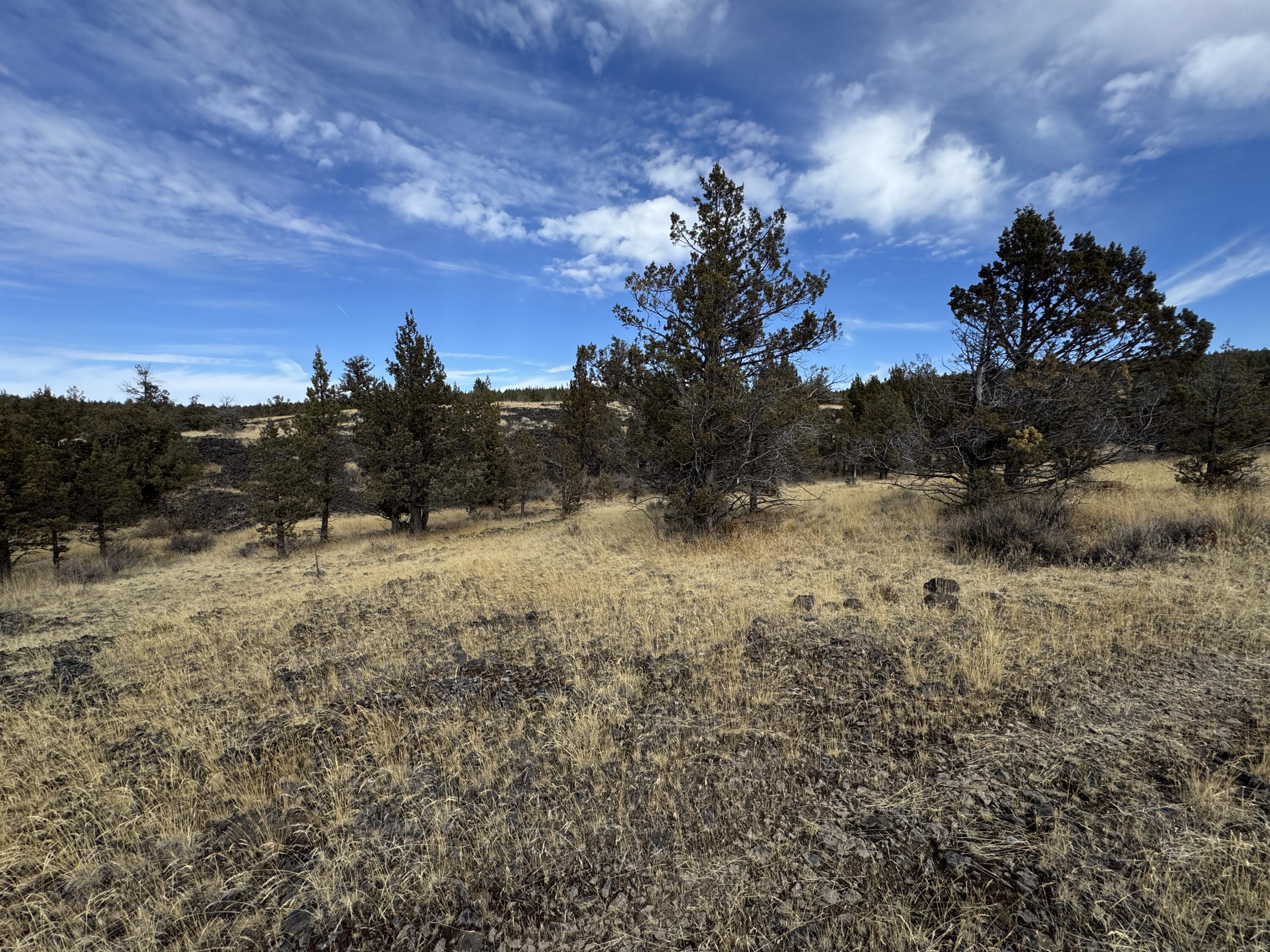 3000 Section 29 Ochoco Land & Livestock