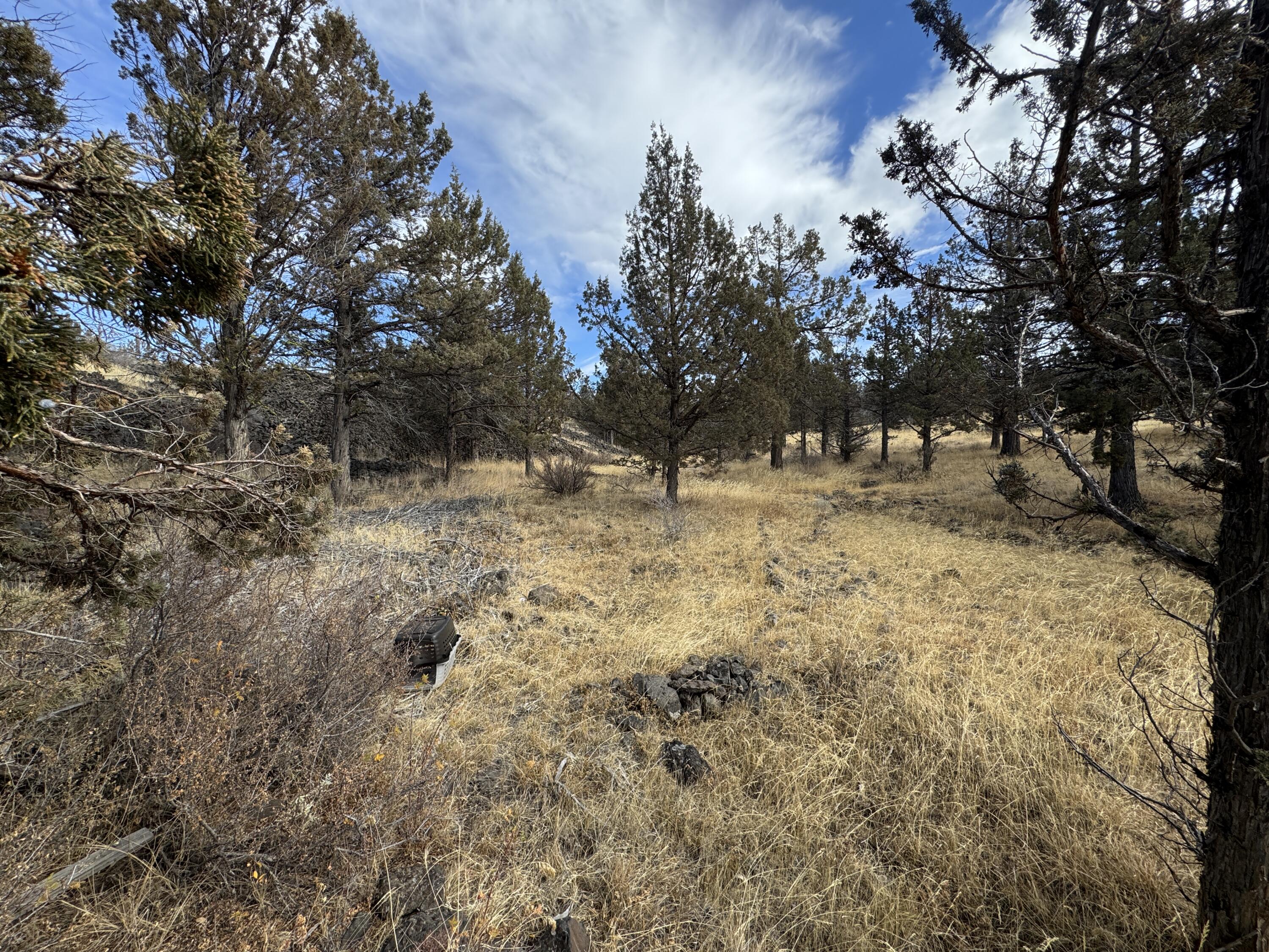 3000 Section 29 Ochoco Land & Livestock