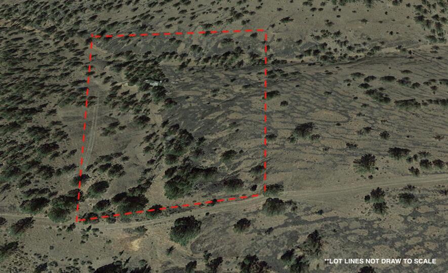 3000 Section 29 Ochoco Land & Livestock