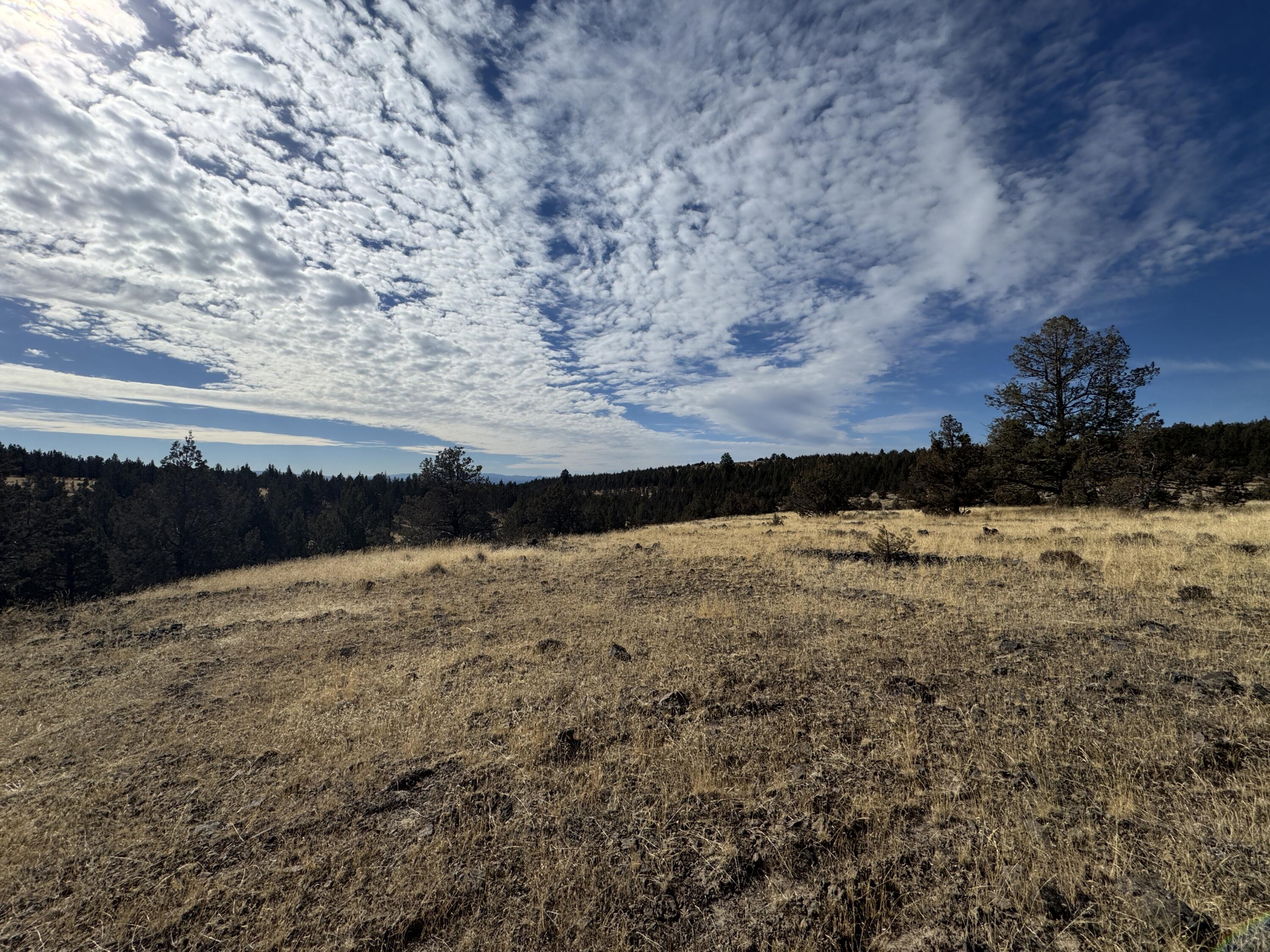 3000 Section 29 Ochoco Land & Livestock