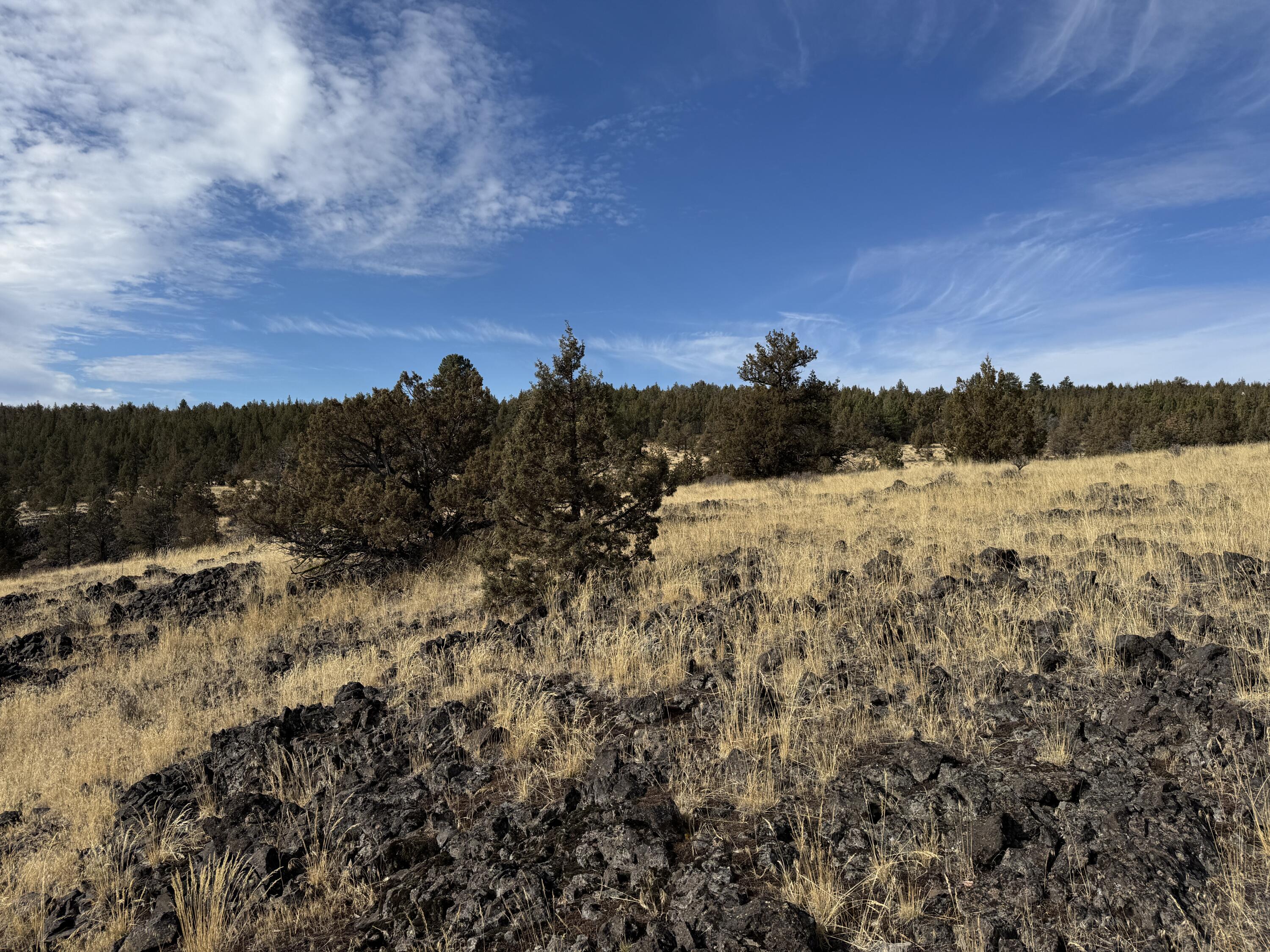 3000 Section 29 Ochoco Land & Livestock