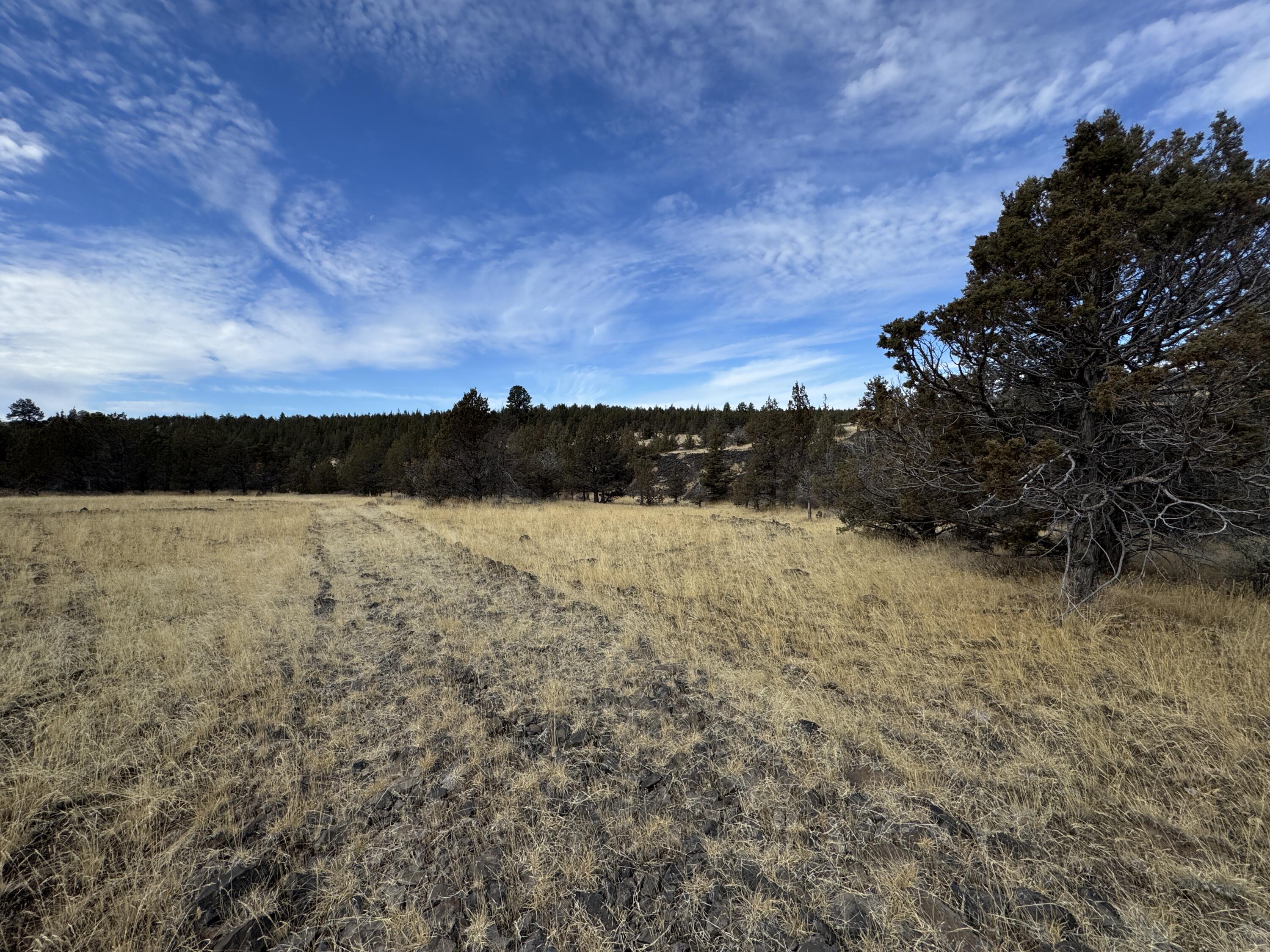 3000 Section 29 Ochoco Land & Livestock