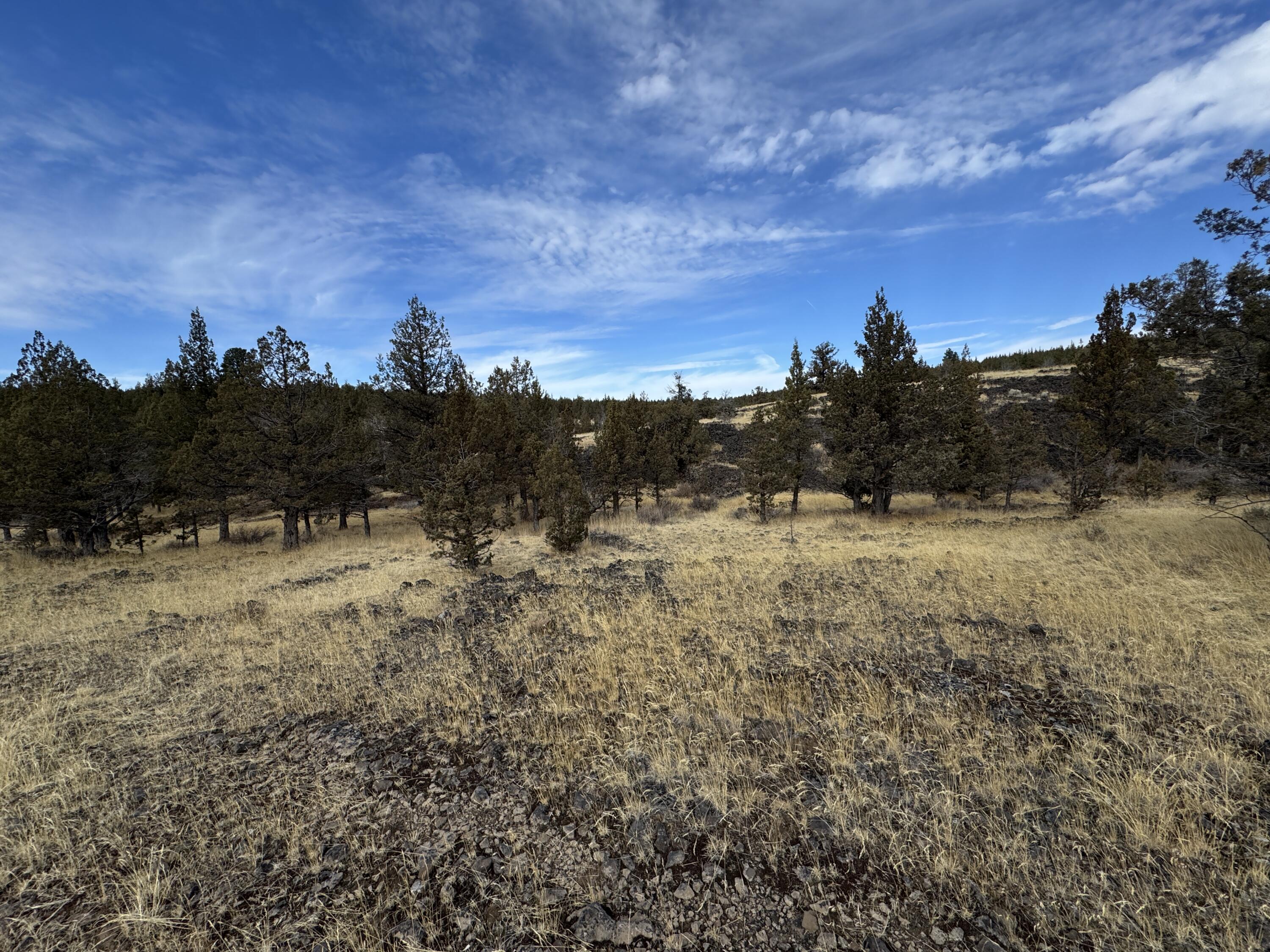 3000 Section 29 Ochoco Land & Livestock