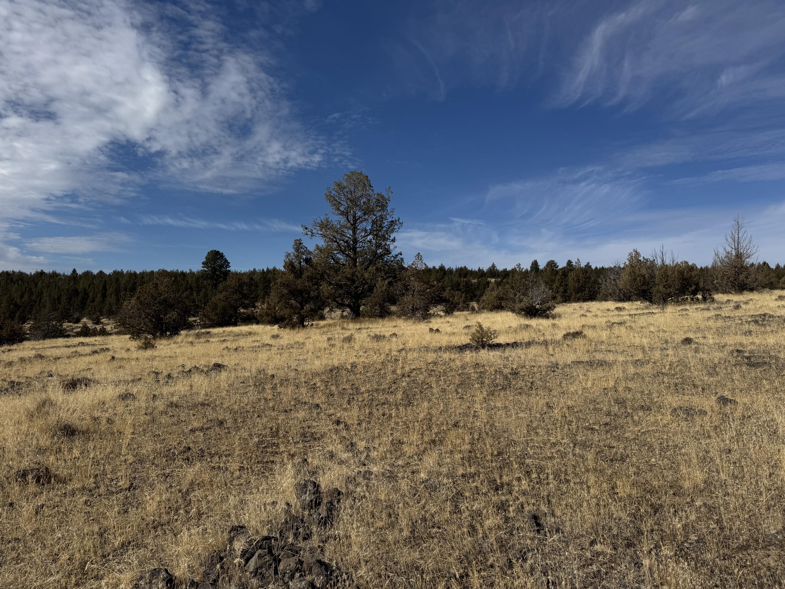 3000 Section 29 Ochoco Land & Livestock