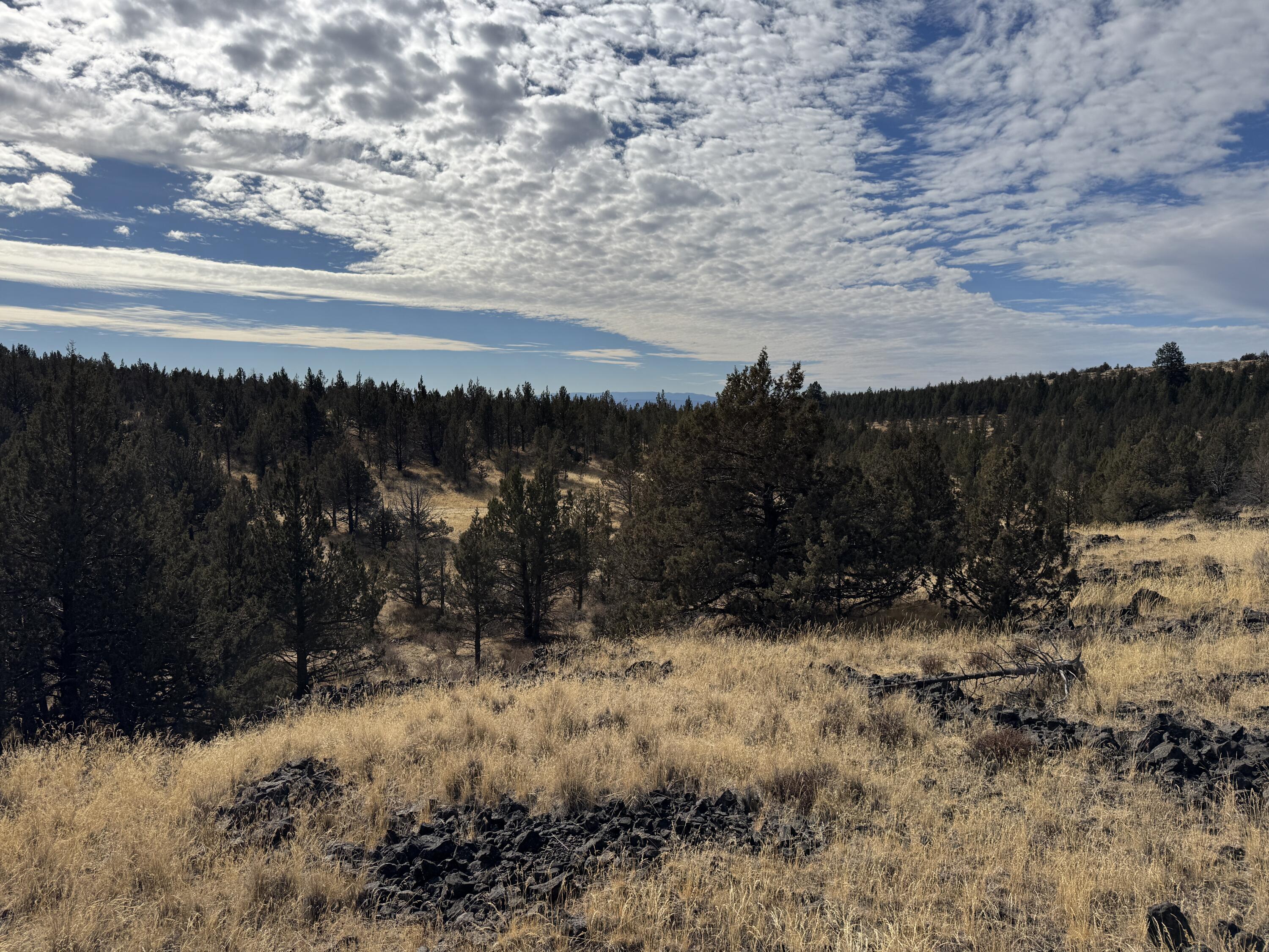 3000 Section 29 Ochoco Land & Livestock