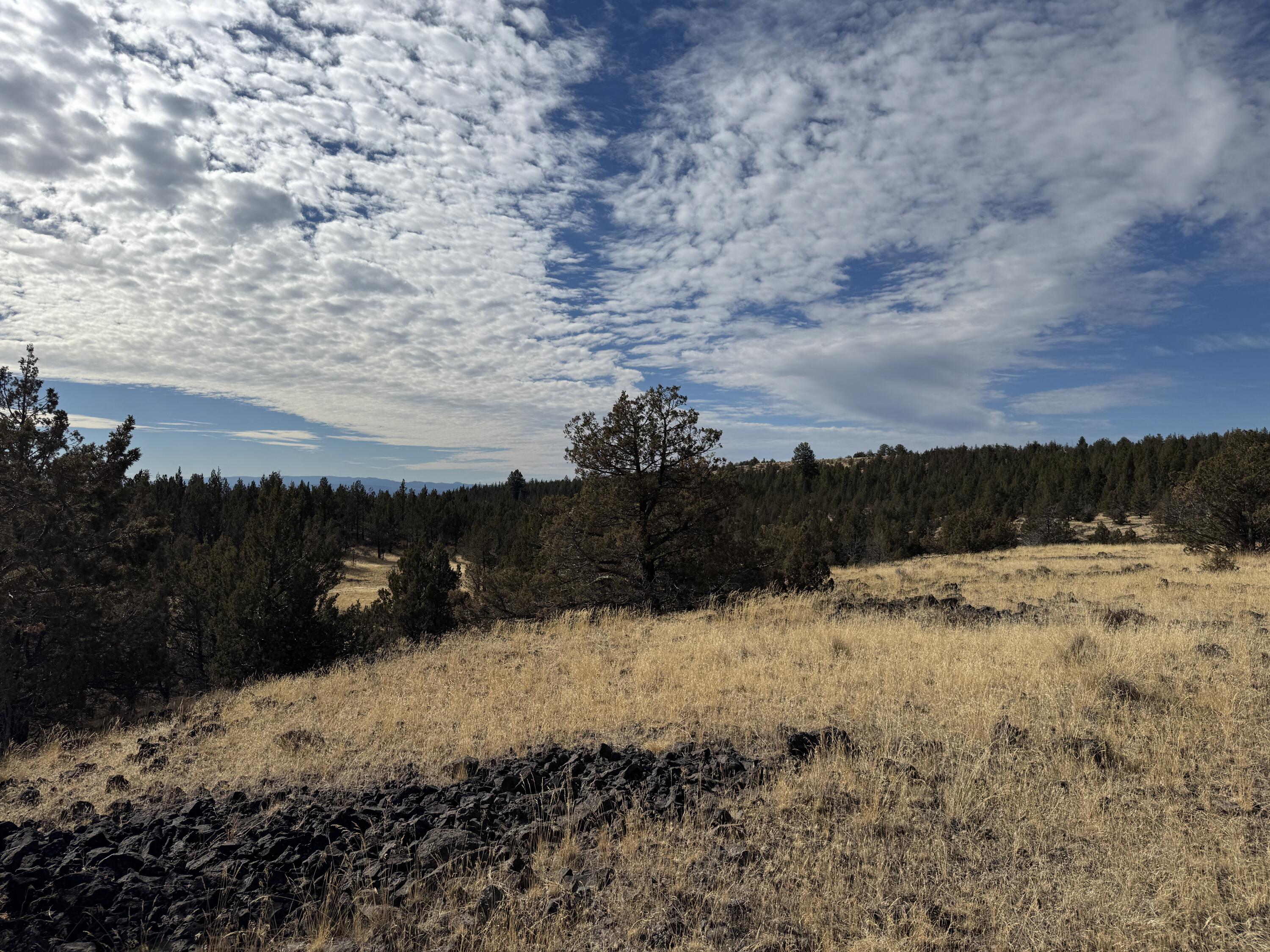3000 Section 29 Ochoco Land & Livestock