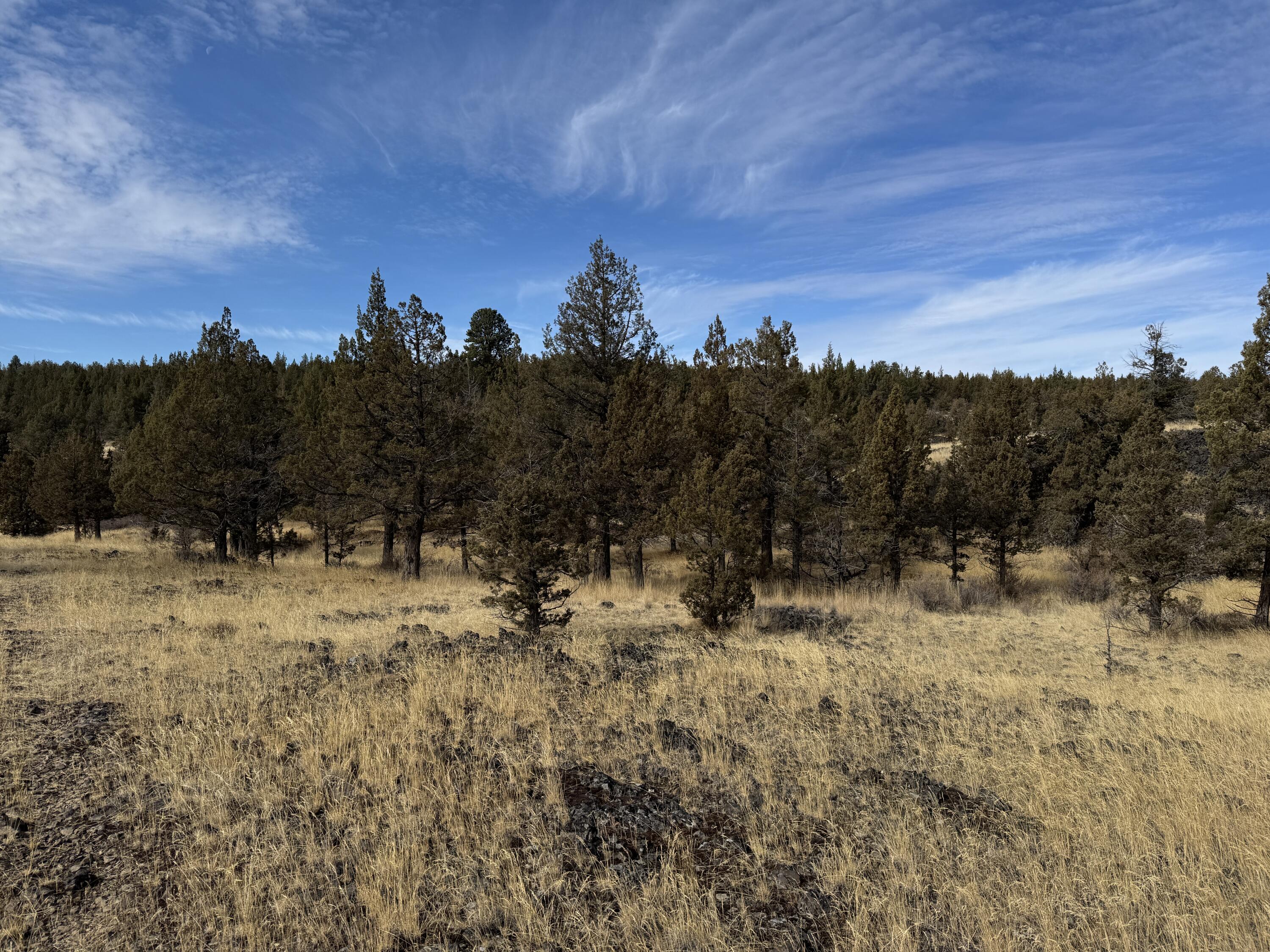 3000 Section 29 Ochoco Land & Livestock
