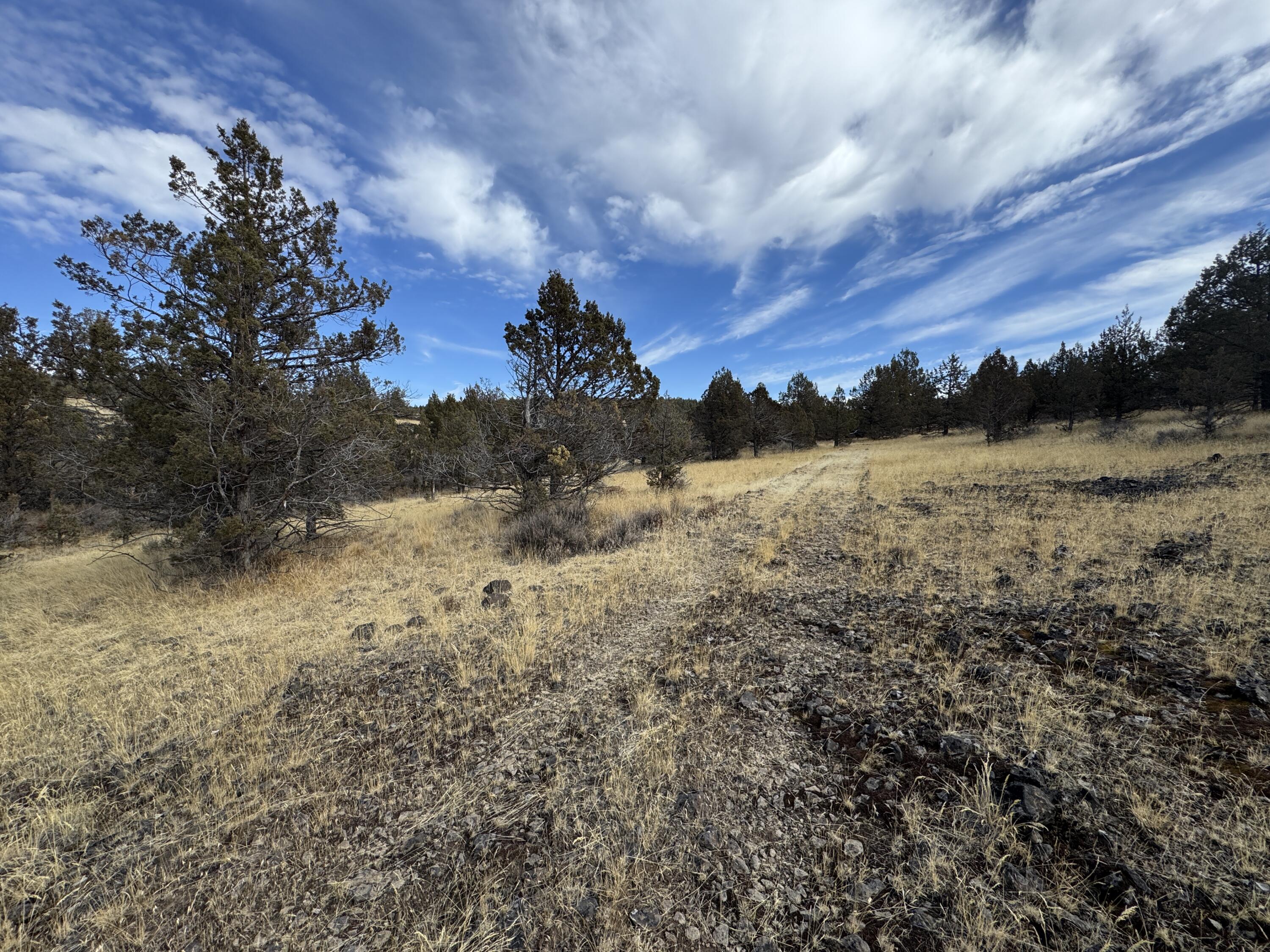 3000 Section 29 Ochoco Land & Livestock