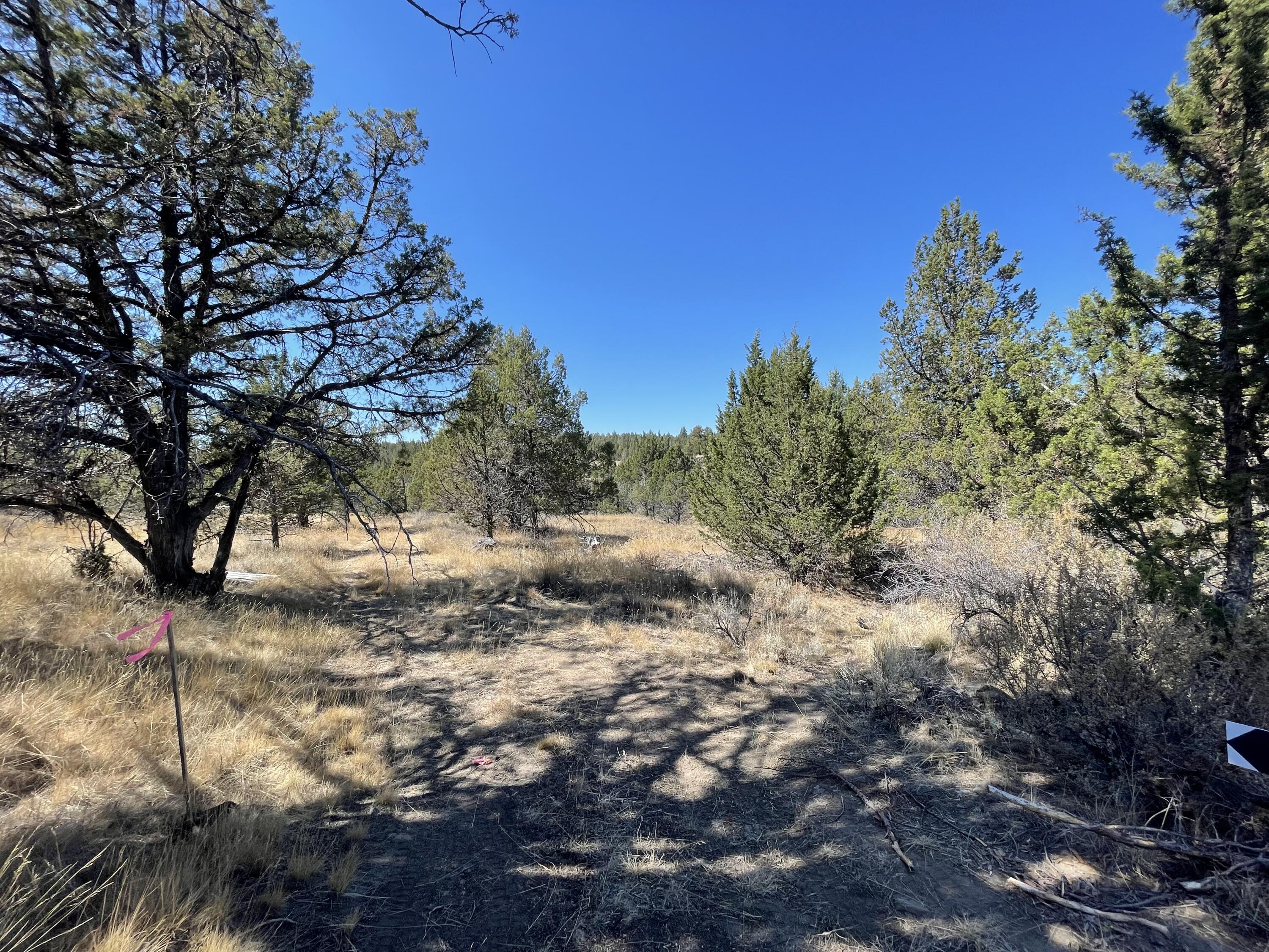 3000 Section 29 Ochoco Land & Livestock
