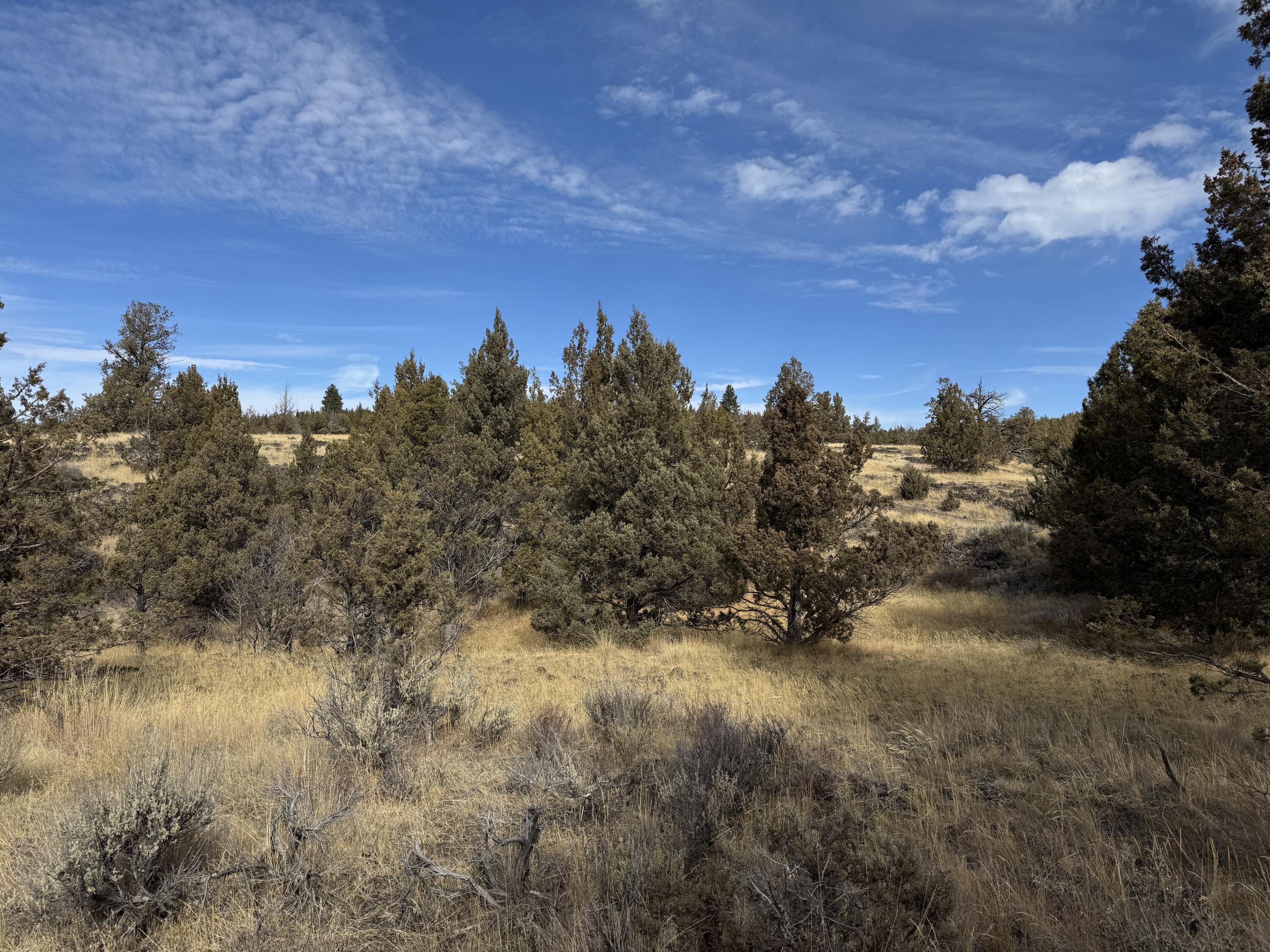 3000 Section 29 Ochoco Land & Livestock