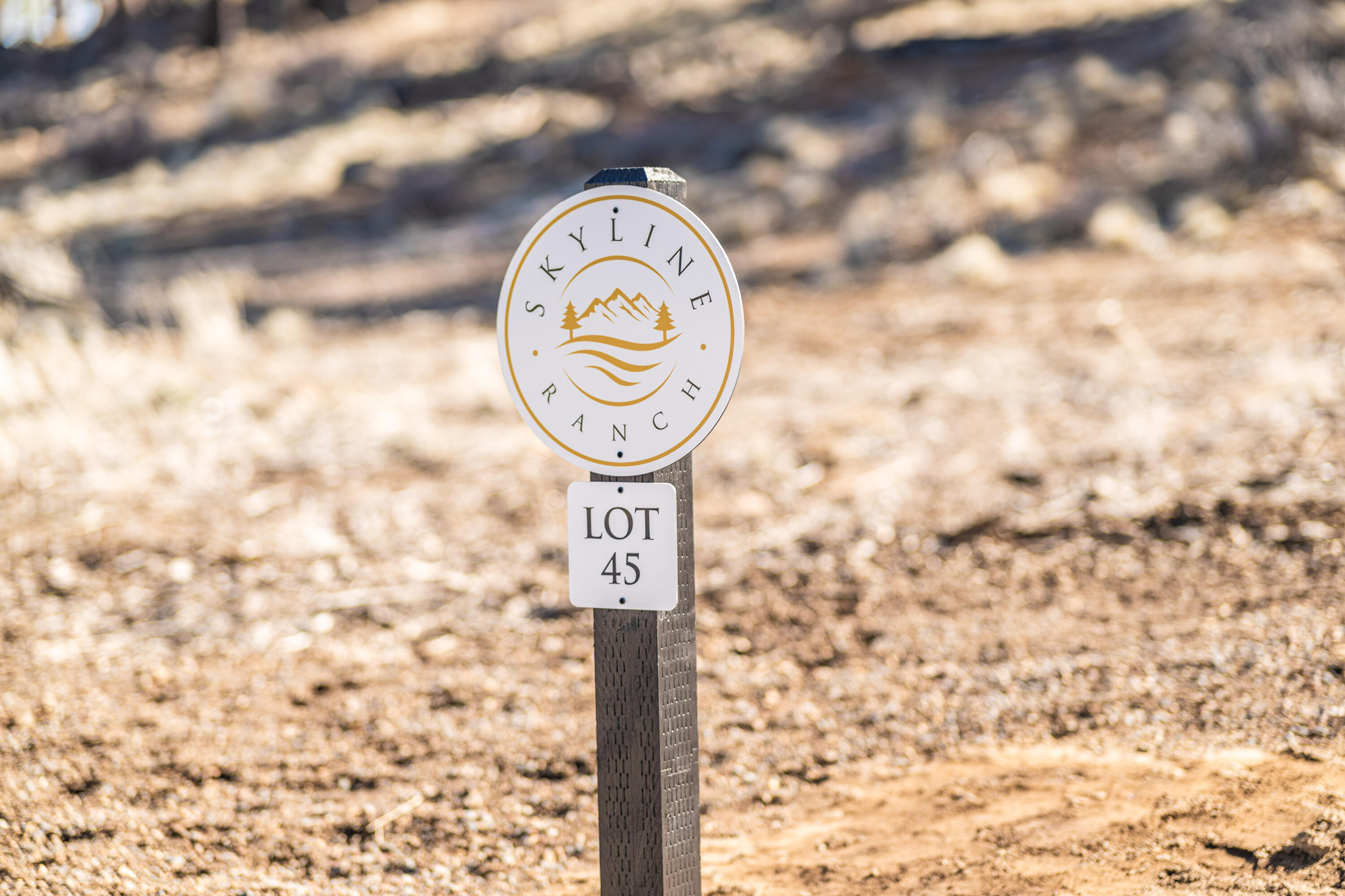 Skyline Ranch Phase 3 Unit: Lot 45