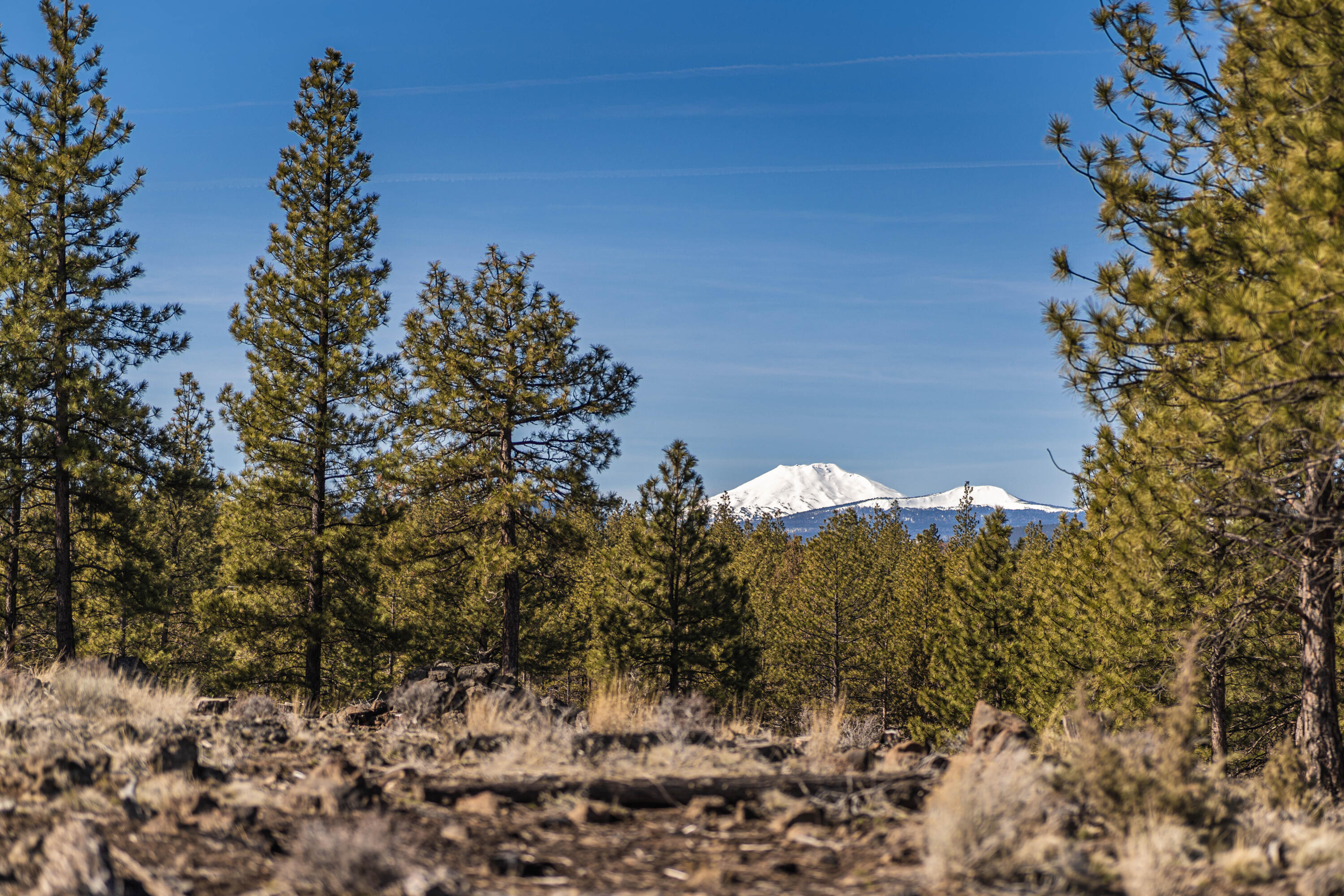 Skyline Ranch Phase 3 Unit: Lot 45