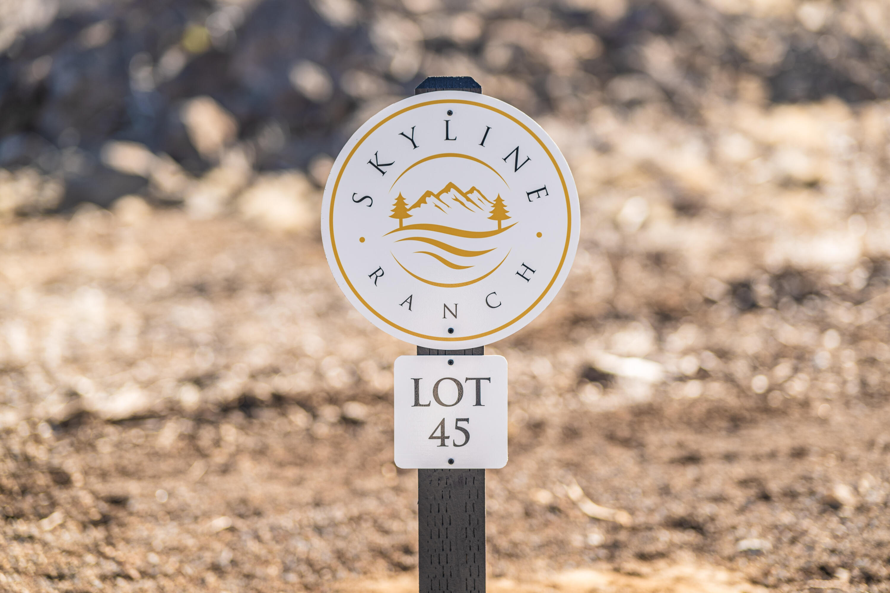 Skyline Ranch Phase 3 Unit: Lot 45