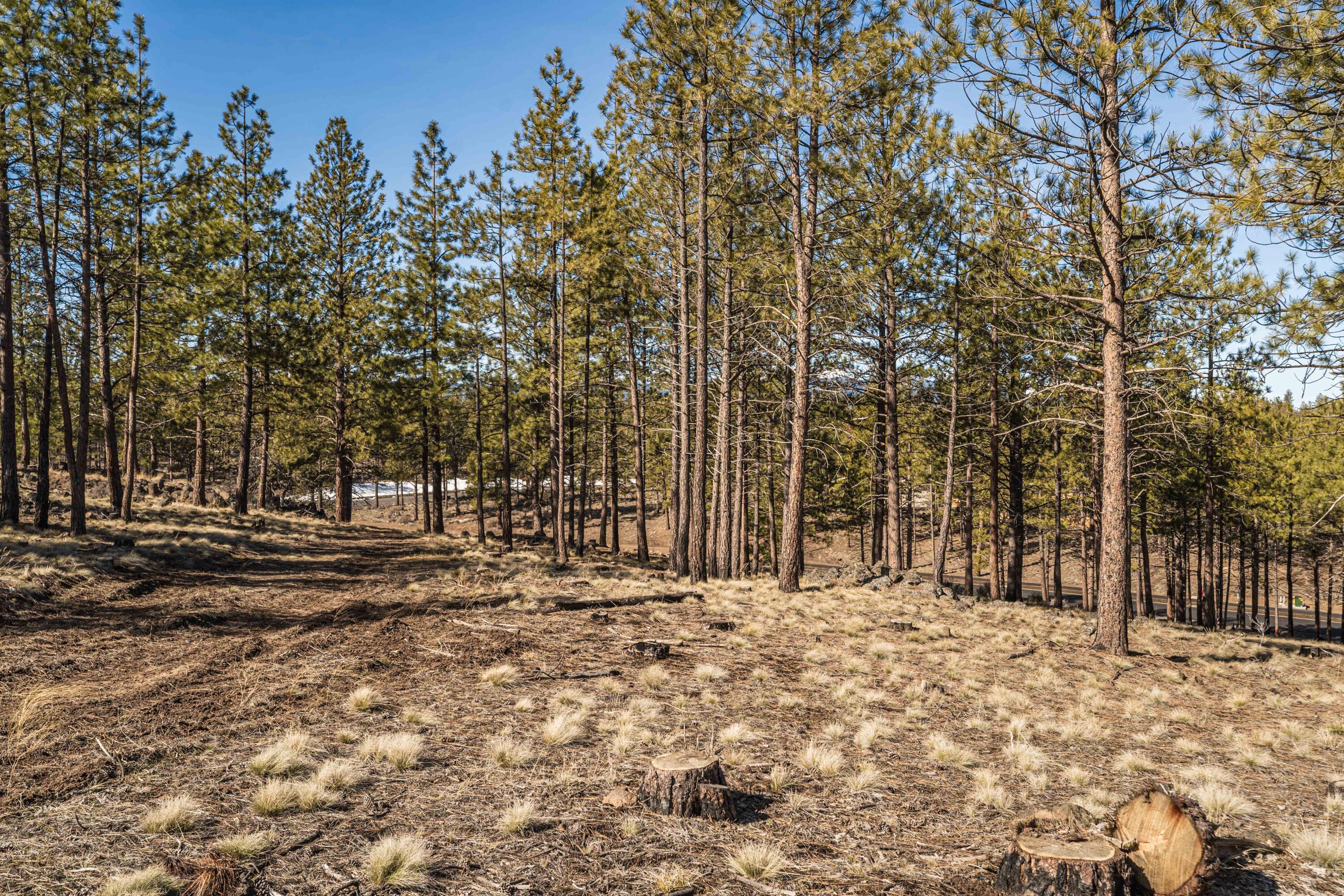 Skyline Ranch Phase 3 Unit: Lot 45