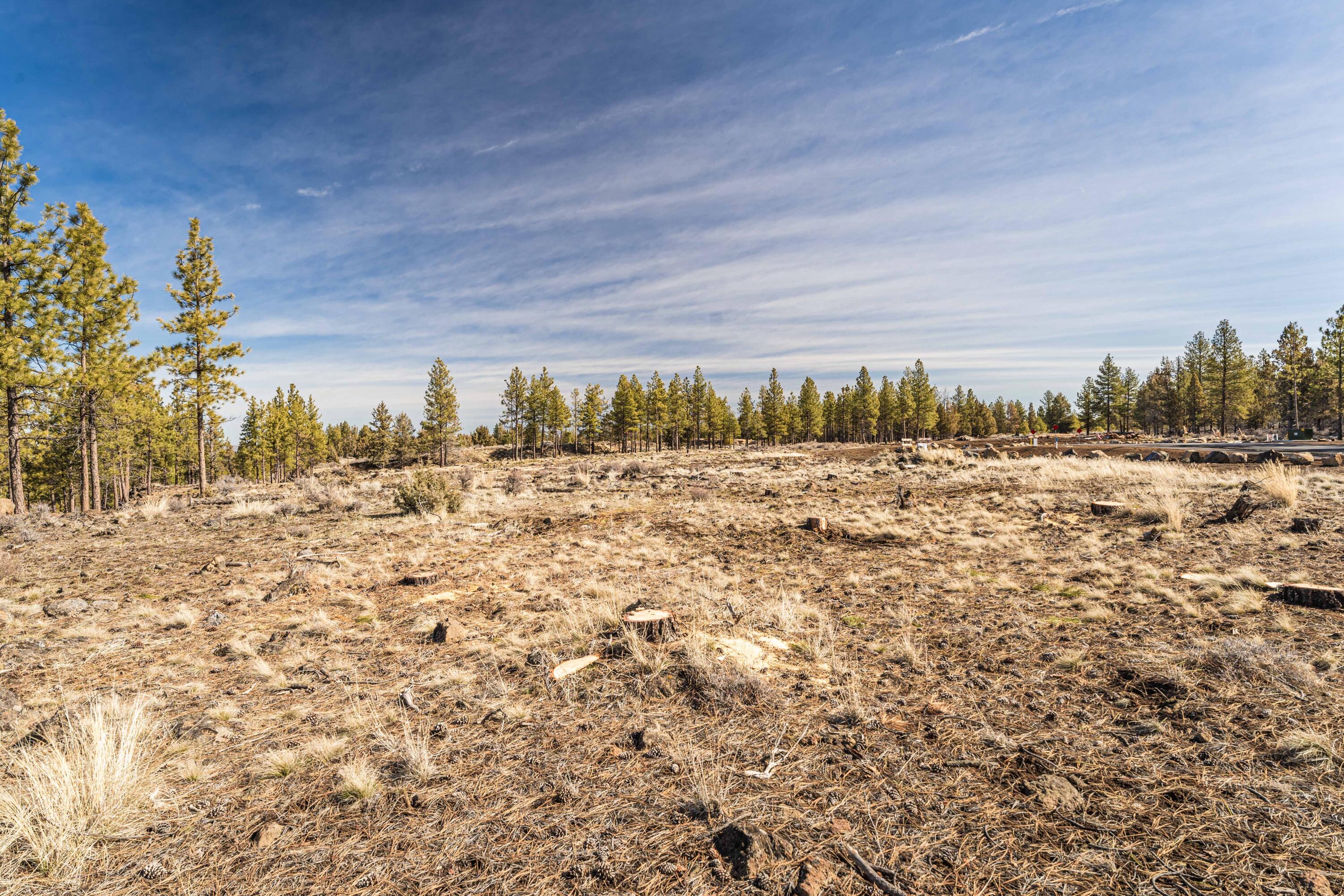 Skyline Ranch Phase 3 Unit: Lot 45