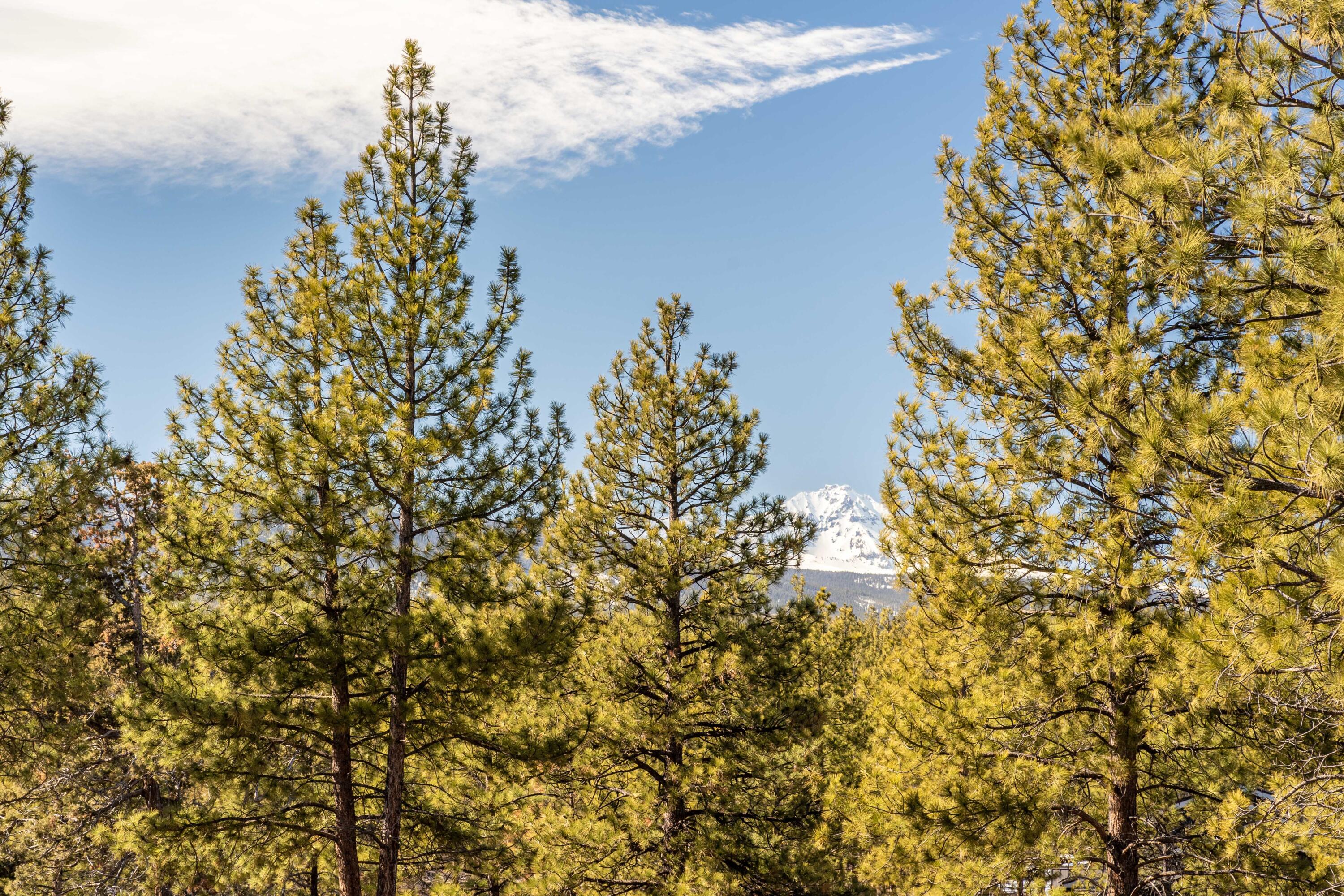 Skyline Ranch Phase 3 Unit: Lot 45