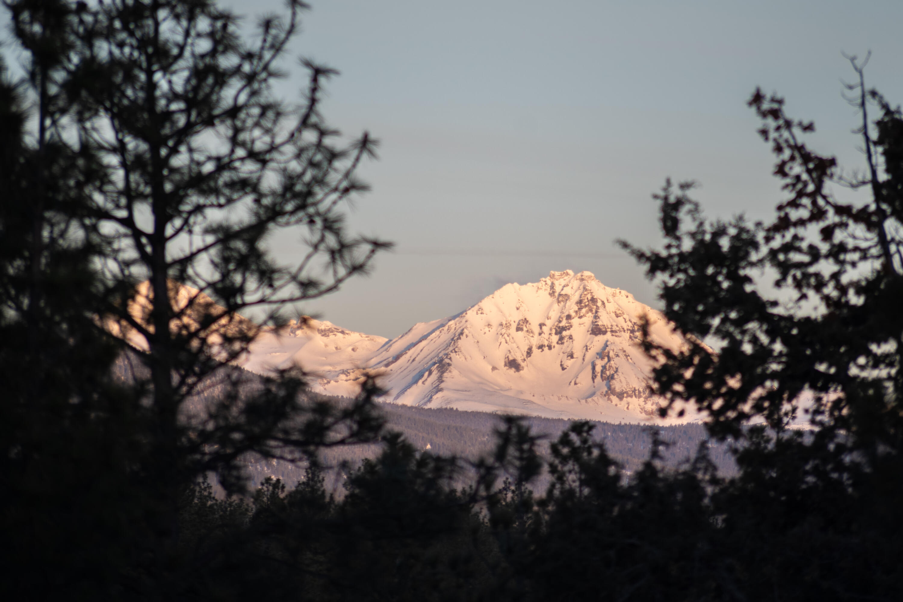 Skyline Ranch Phase 3 Unit: Lot 45