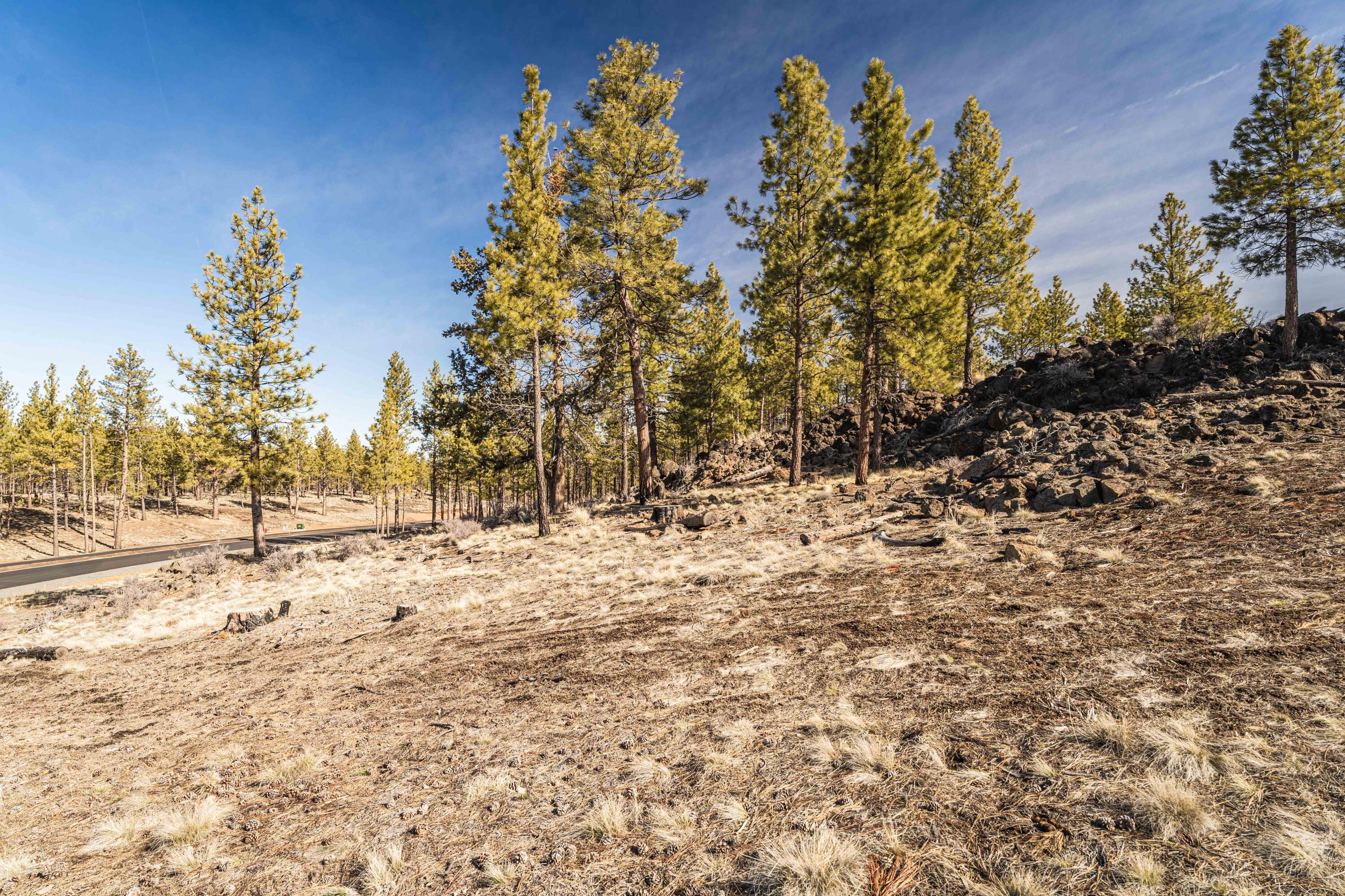 Skyline Ranch Phase 3 Unit: Lot 45