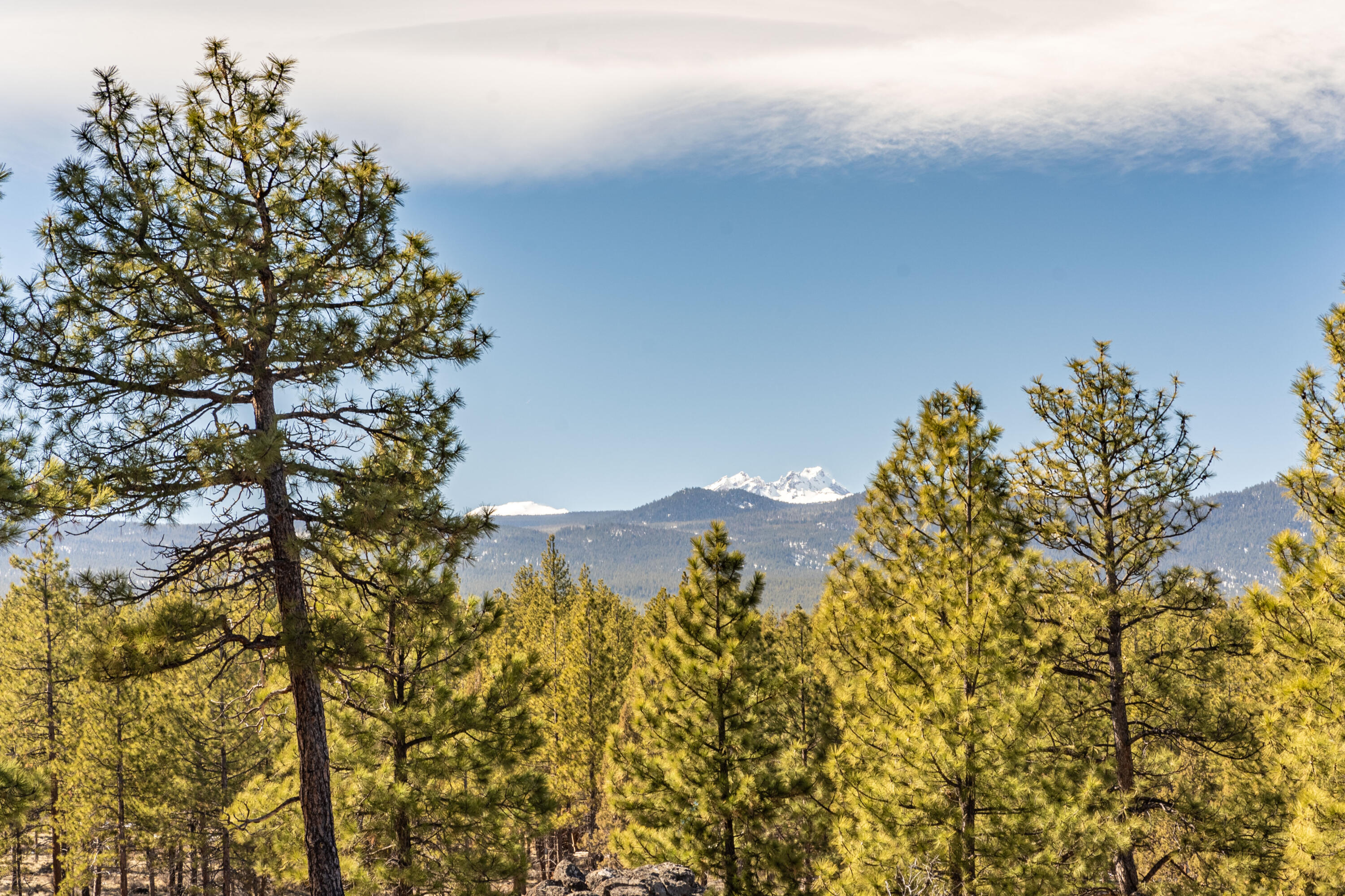 Skyline Ranch Phase 3 Unit: Lot 45