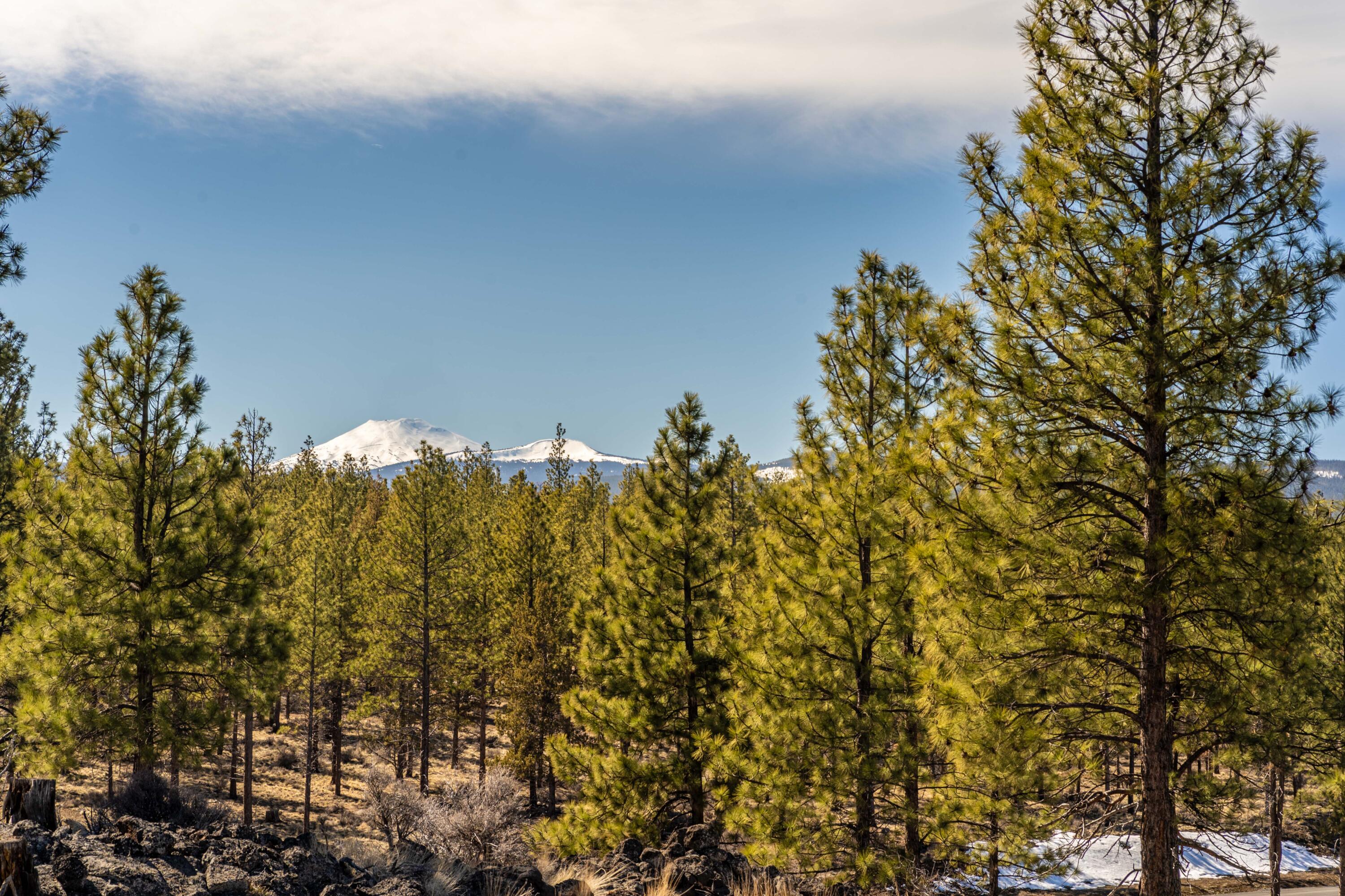 Skyline Ranch Phase 3 Unit: Lot 45