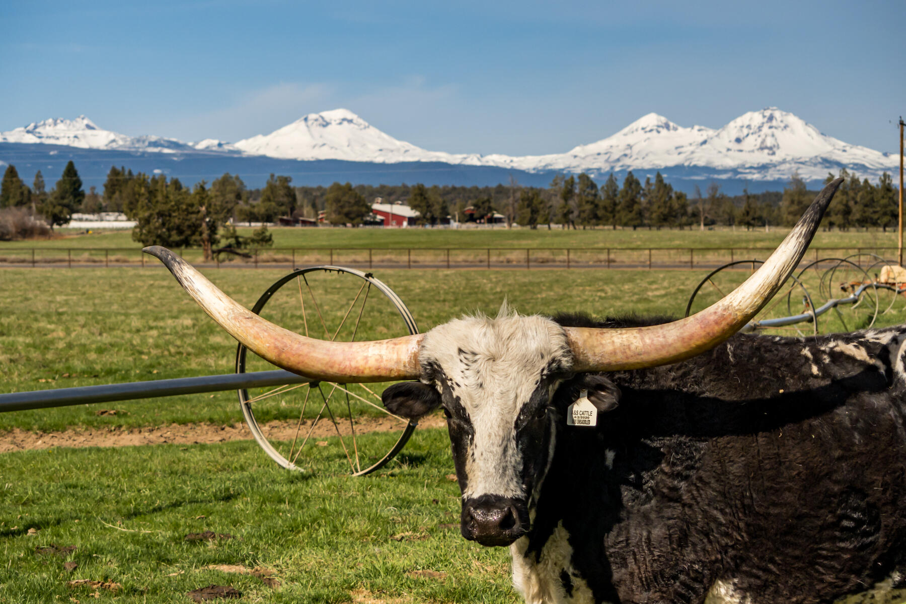 65900 Cline Falls Road