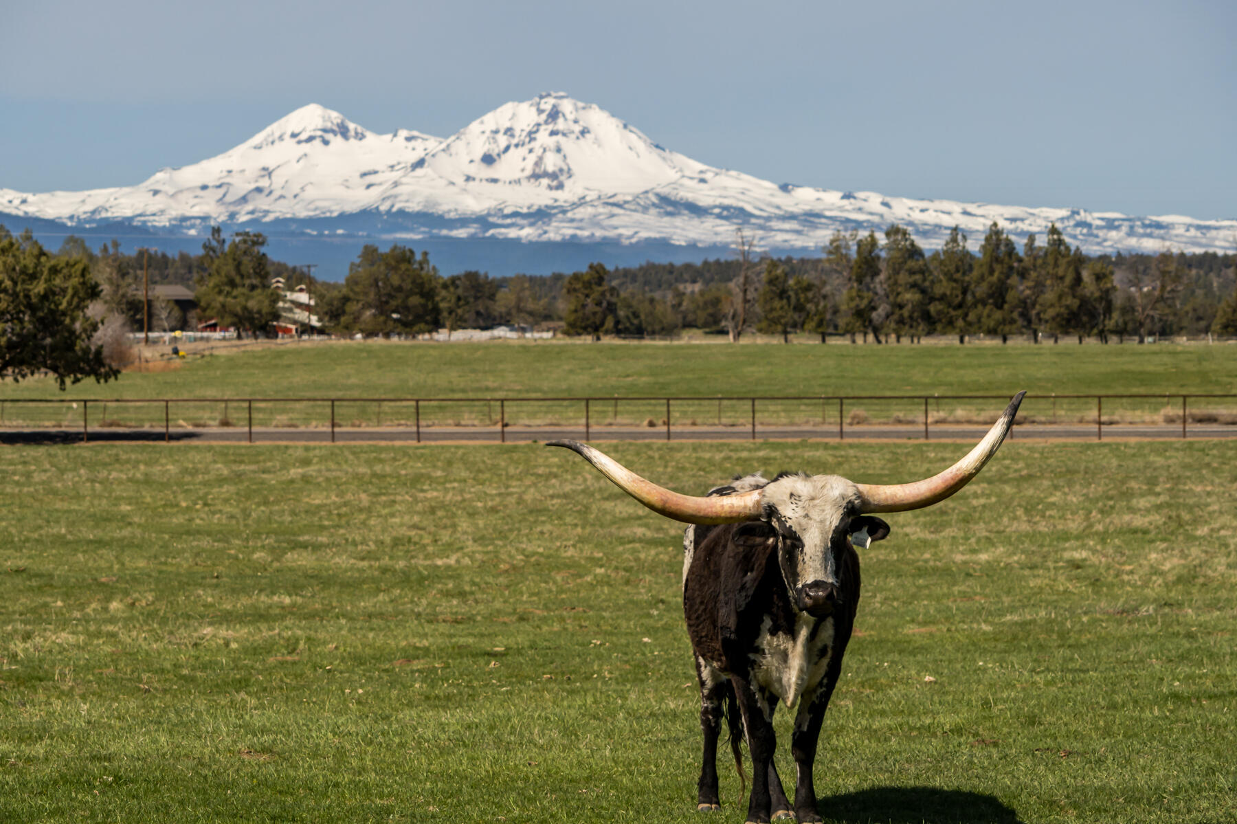 65900 Cline Falls Road