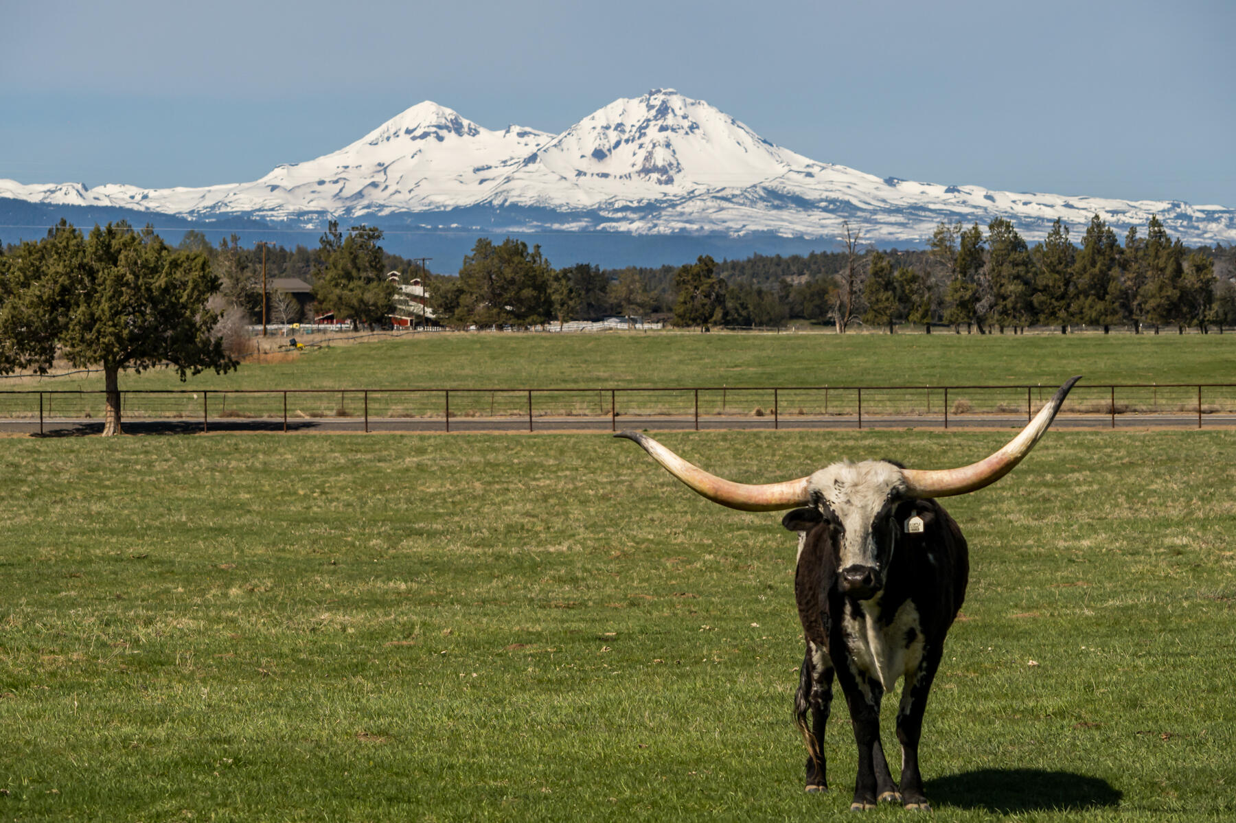 65900 Cline Falls Road