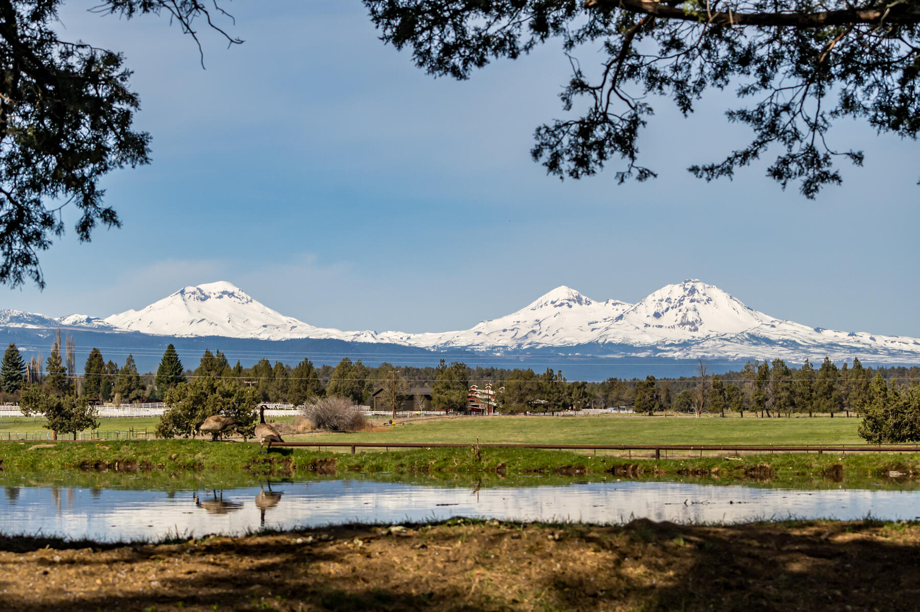 65900 Cline Falls Road