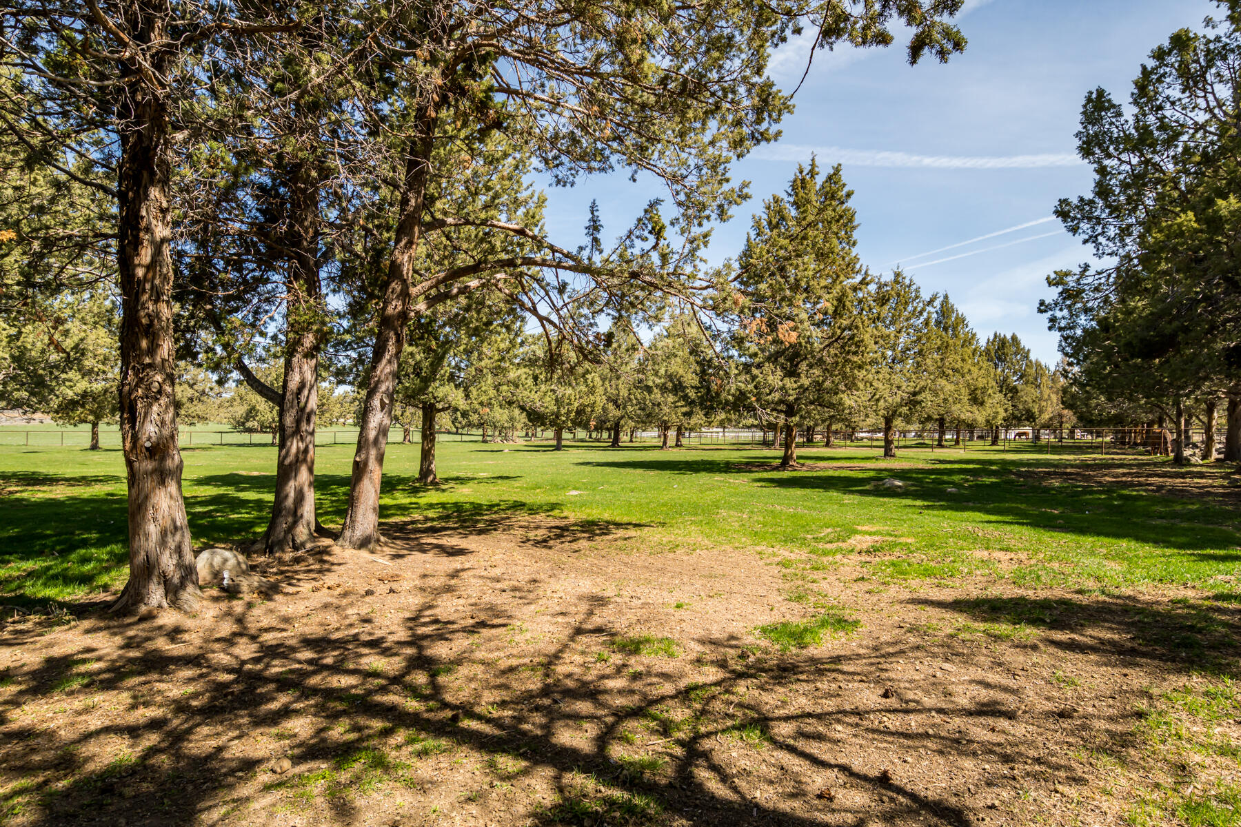 65900 Cline Falls Road