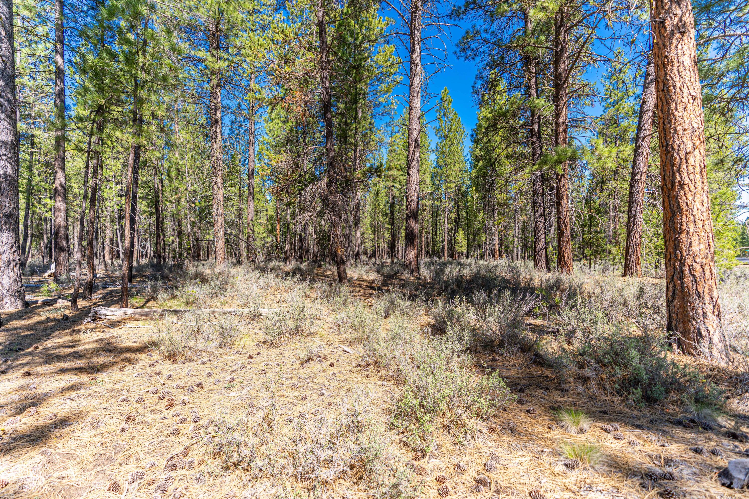 16545 Stage Stop Drive