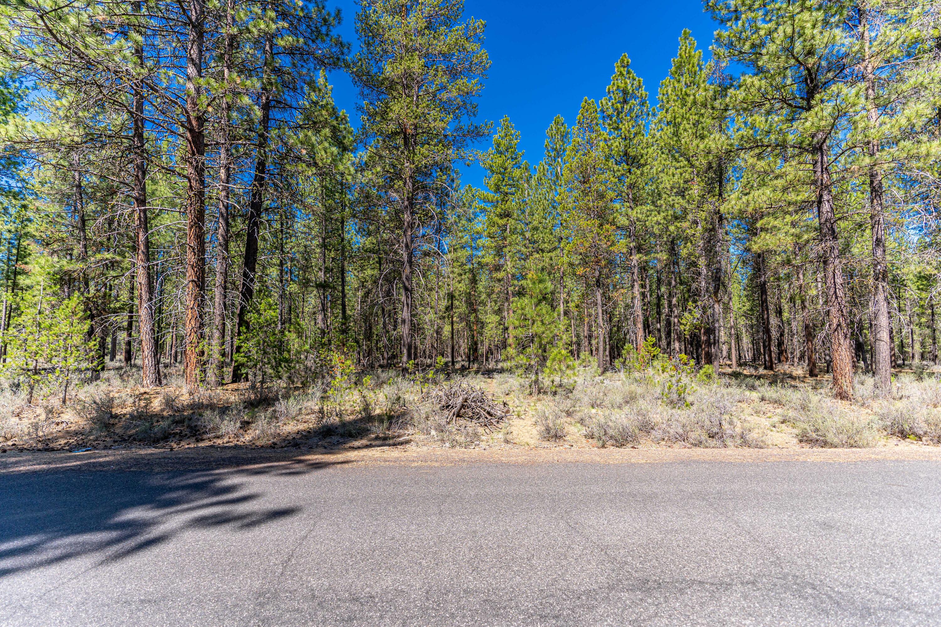 16545 Stage Stop Drive