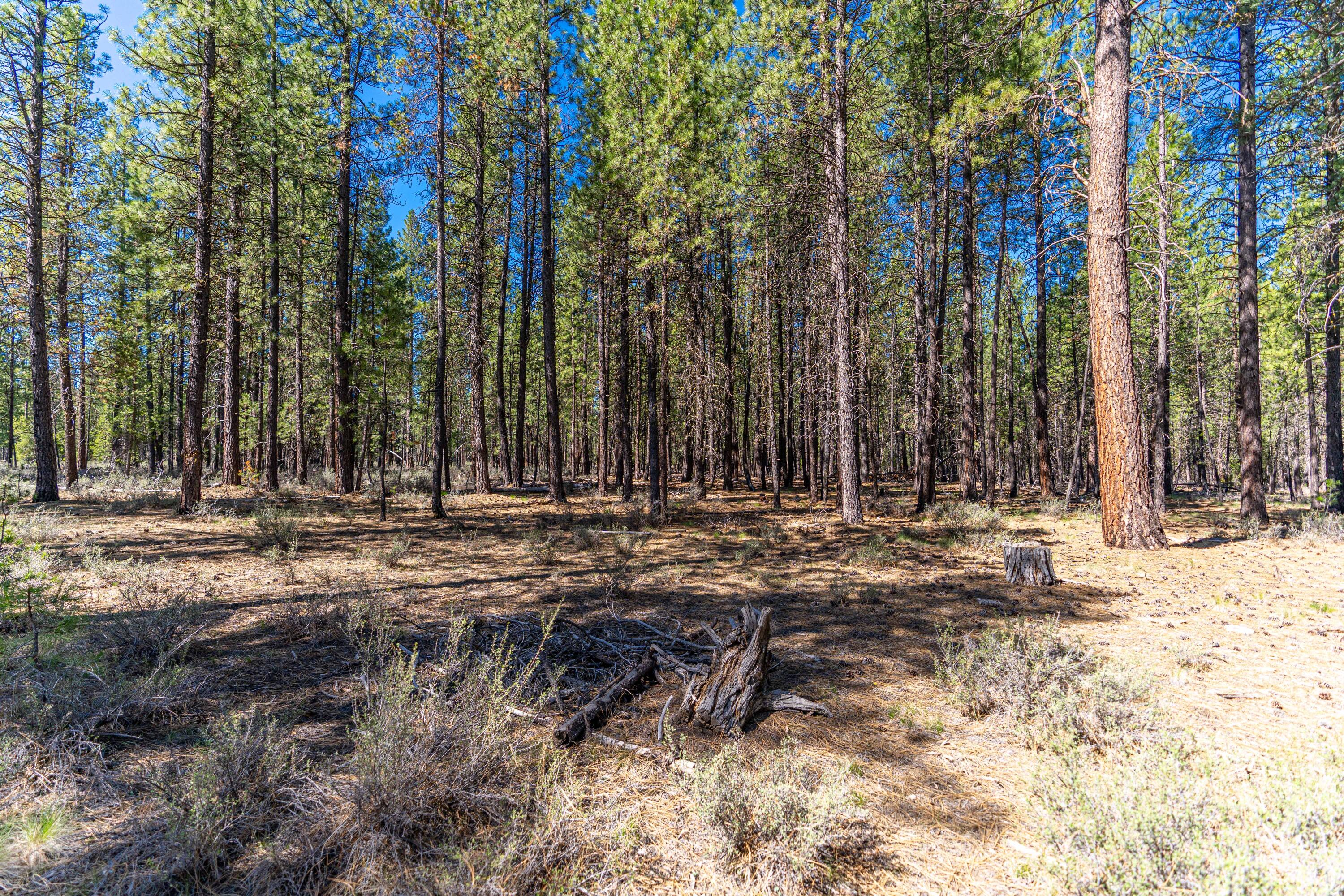 16545 Stage Stop Drive