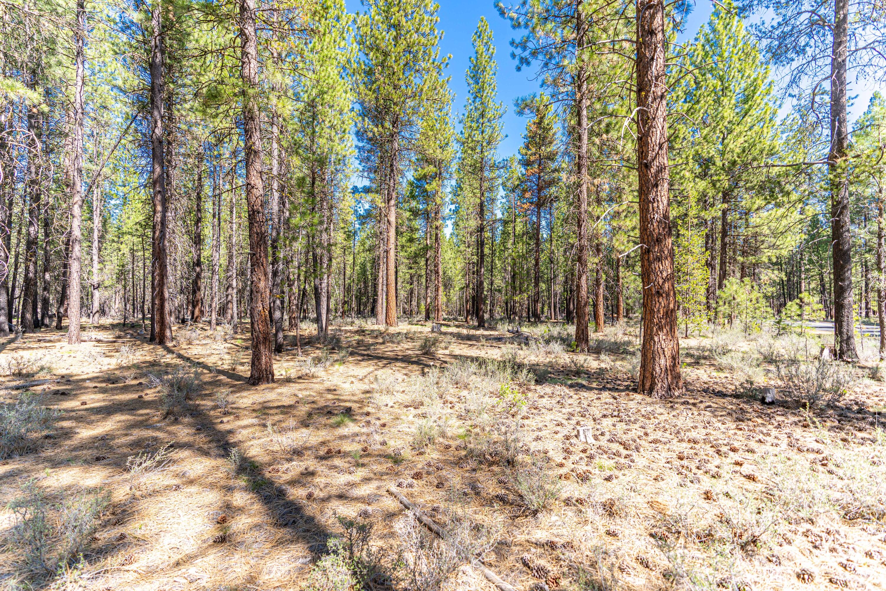 16545 Stage Stop Drive