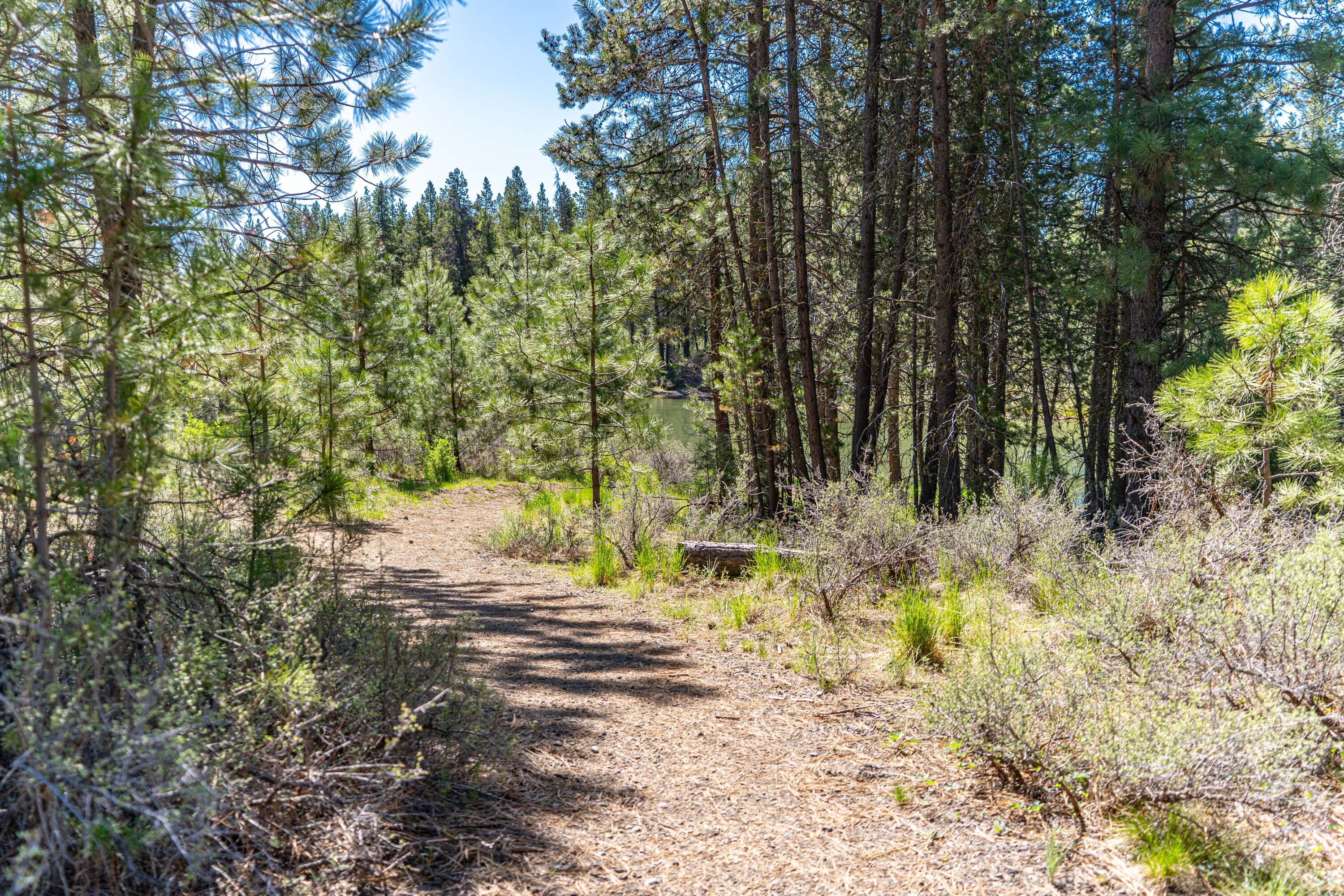 16545 Stage Stop Drive